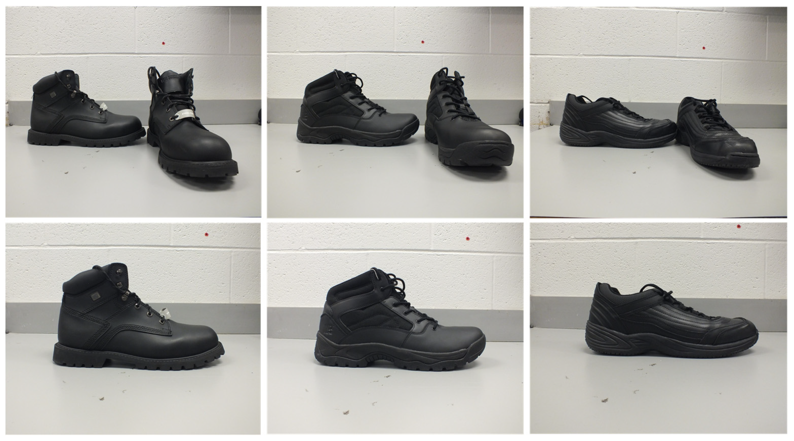 Biomechanics 01 00017 g001