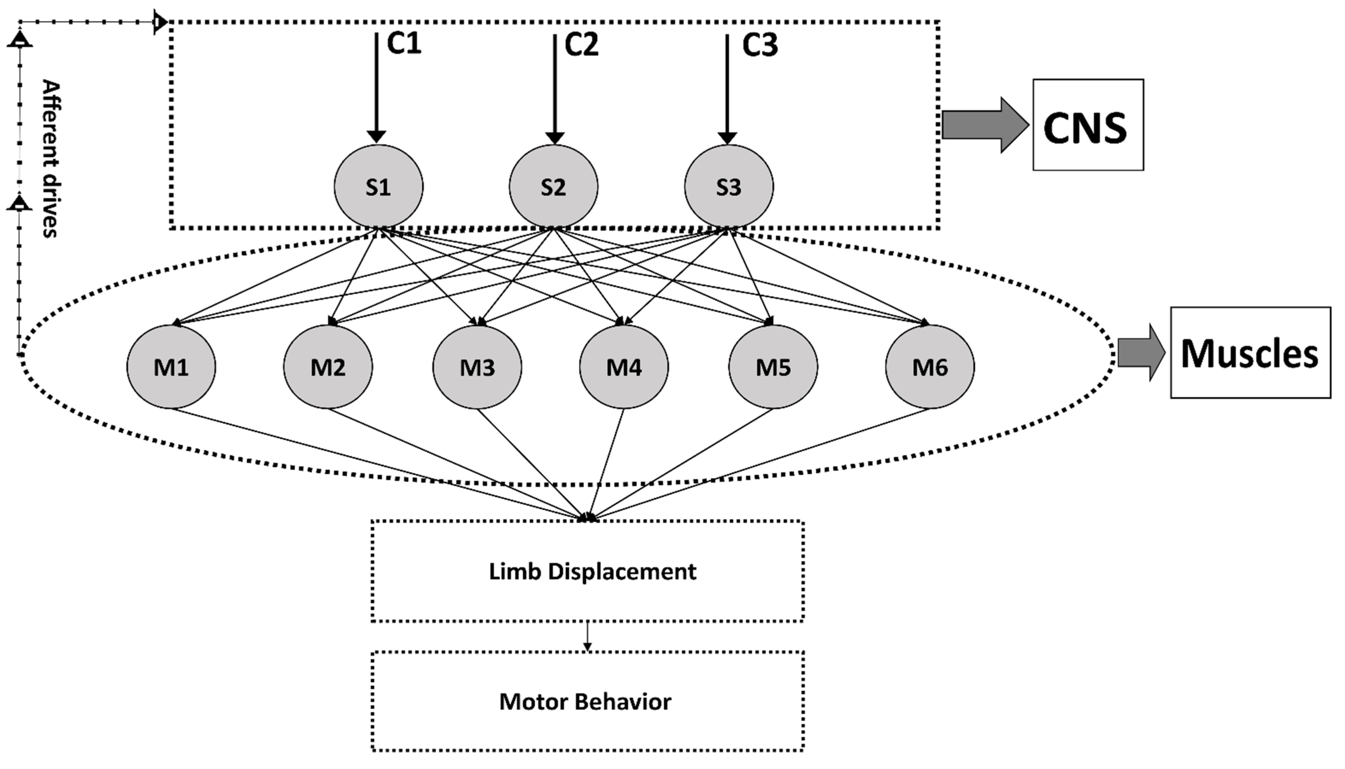 Biomechanics 01 00021 g001
