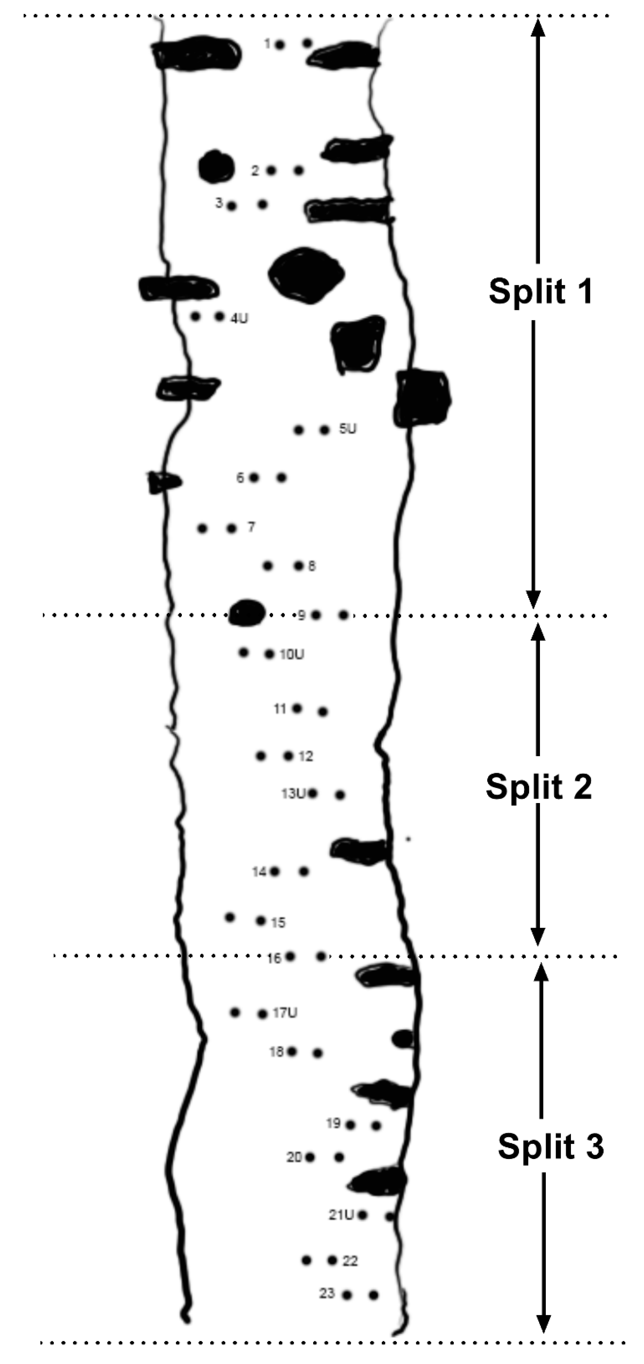 Biomechanics 02 00005 g001