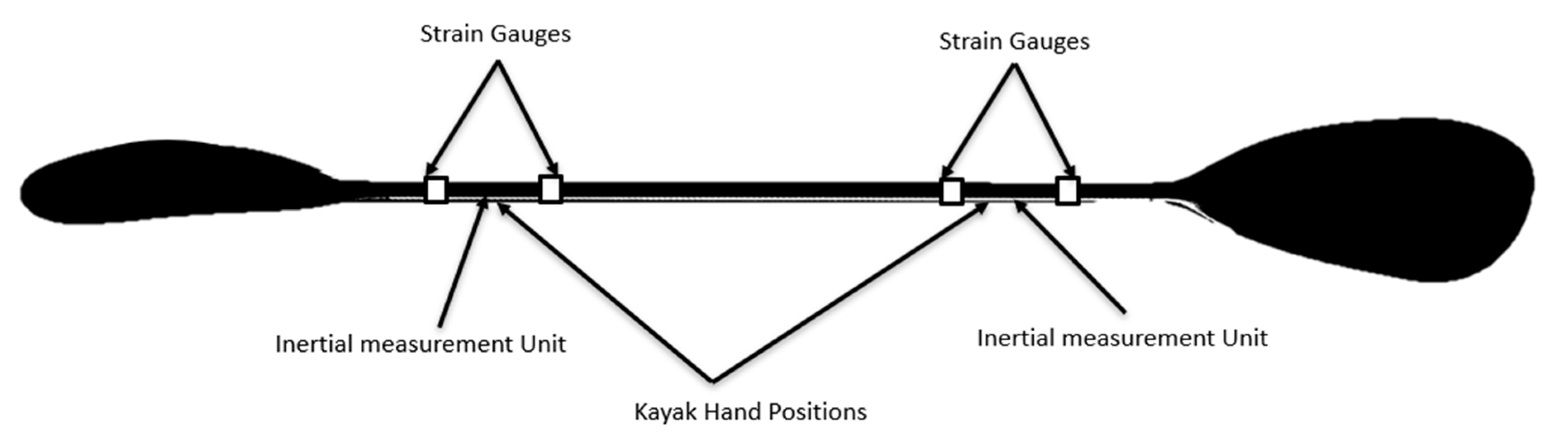 Biomechanics 02 00005 g002