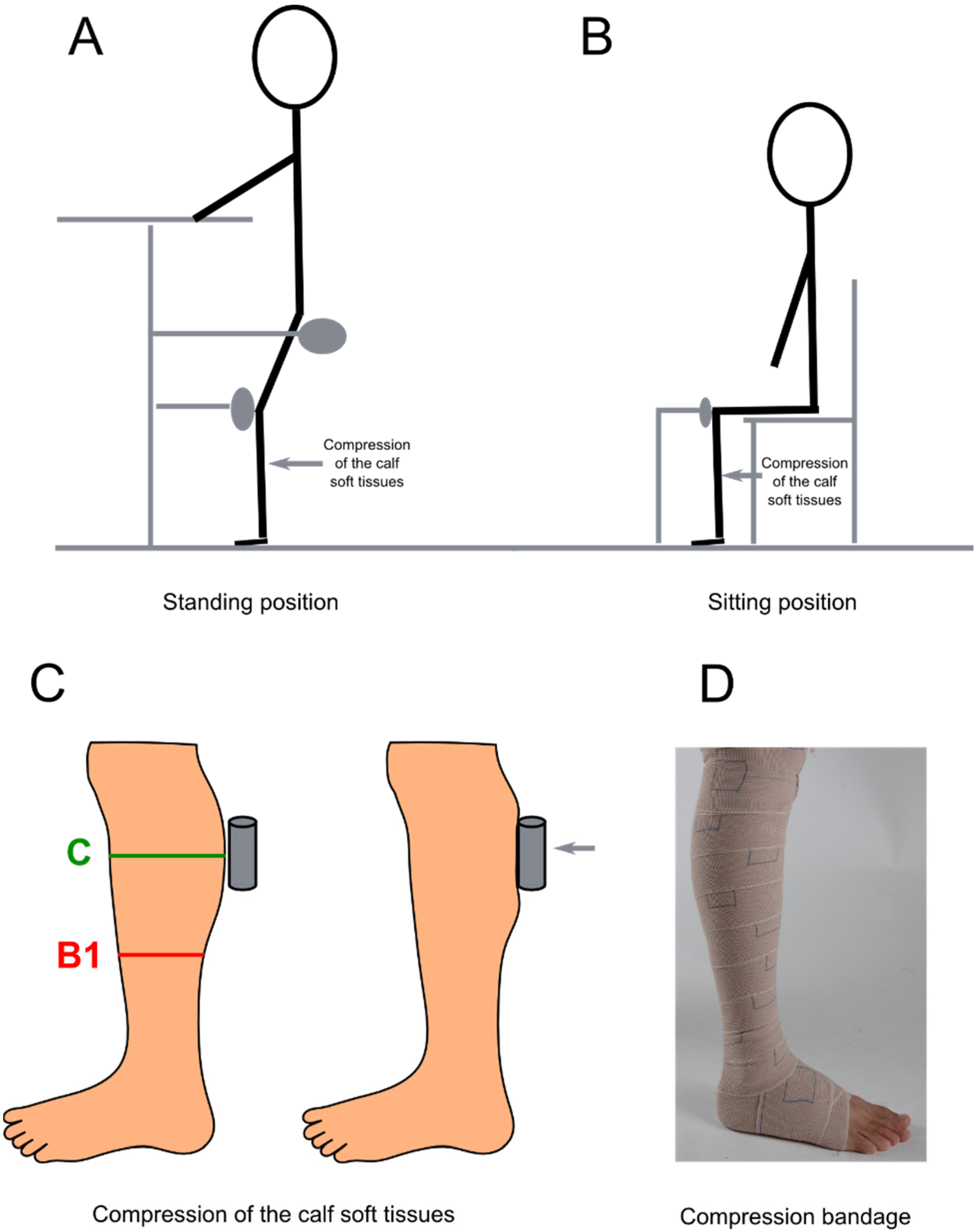 Biomechanics 02 00009 g001