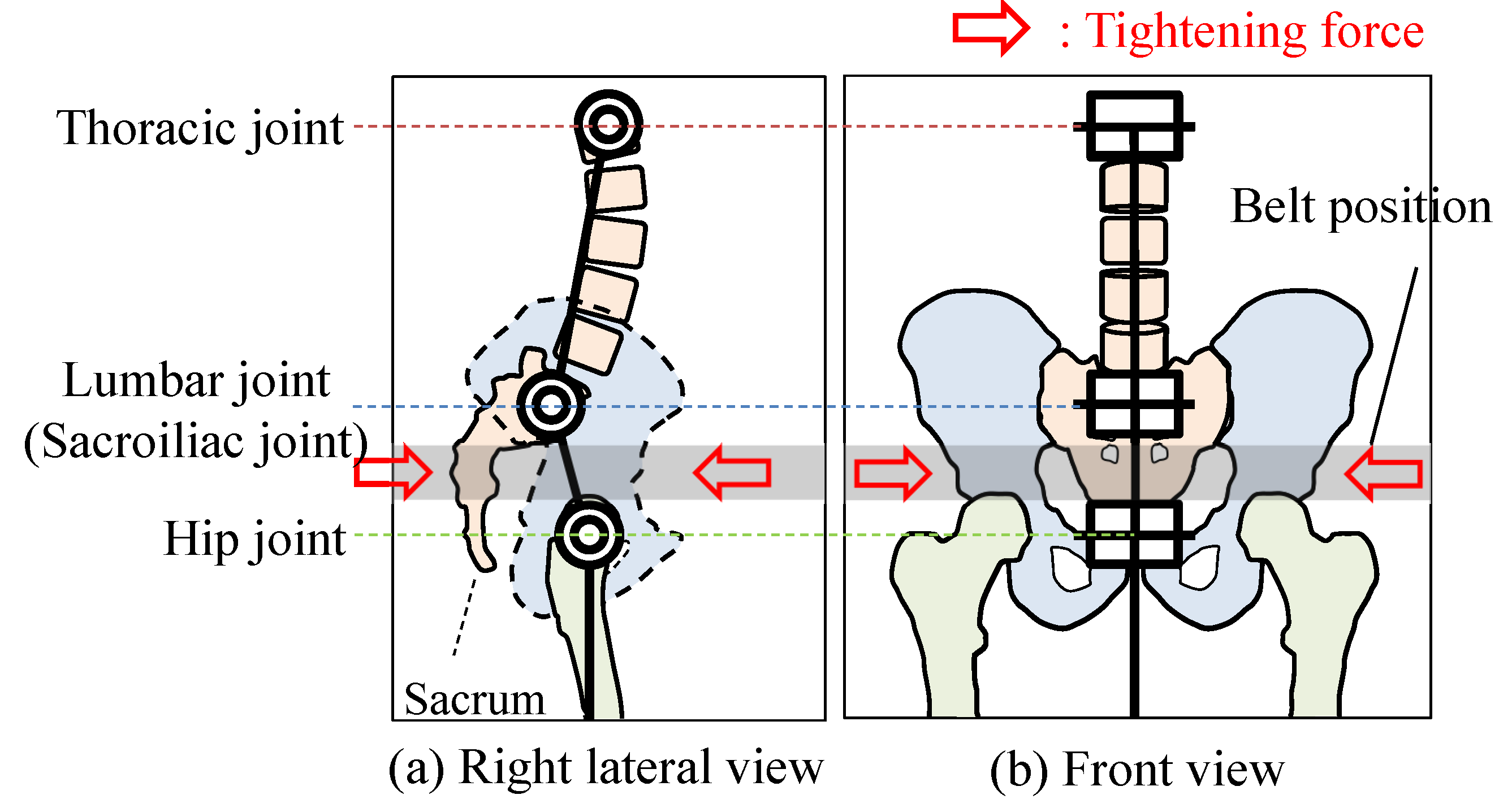 Biomechanics 02 00021 g001 Biomechanics 02 00021 g001