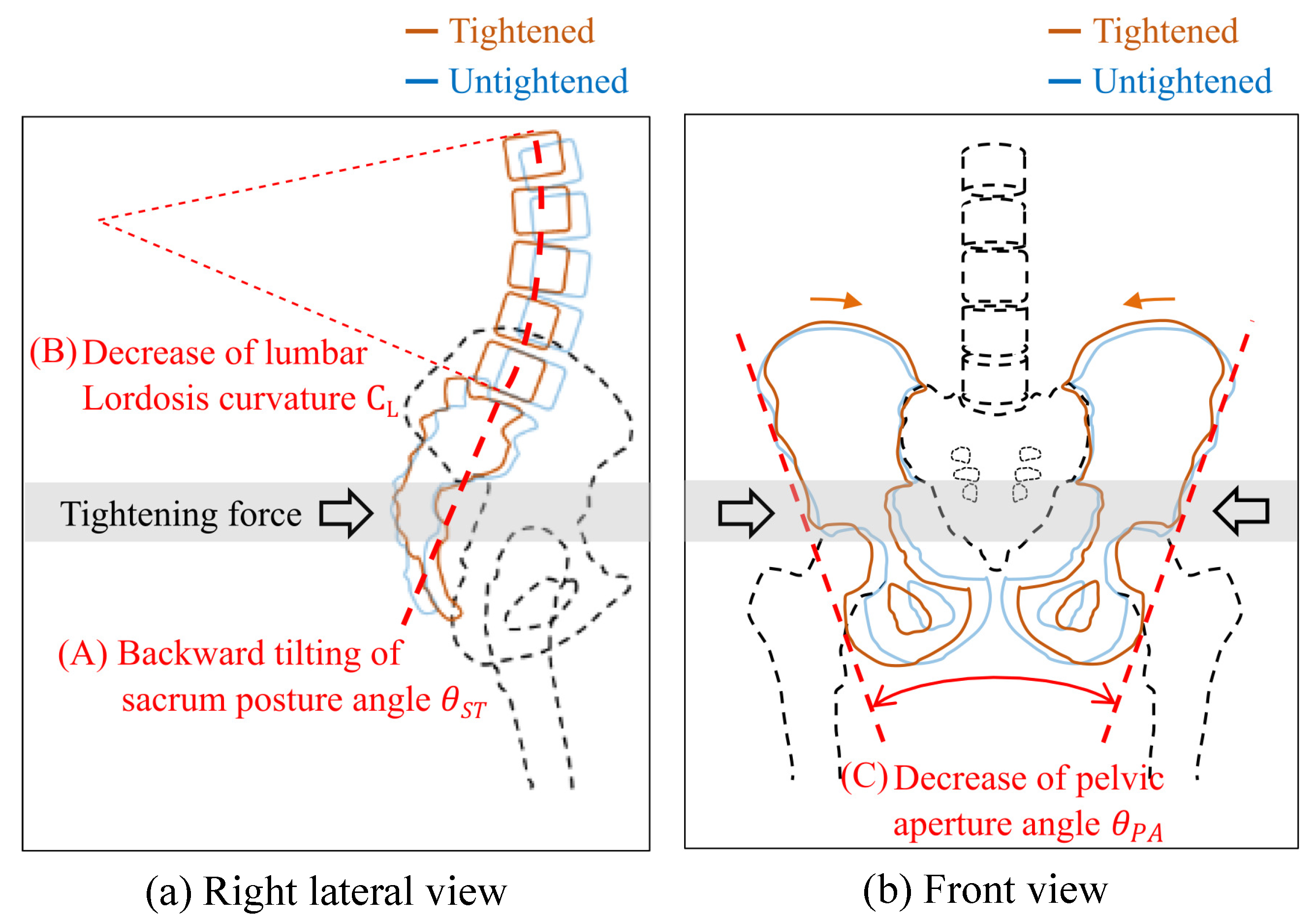 Biomechanics 02 00021 g002 Biomechanics 02 00021 g002