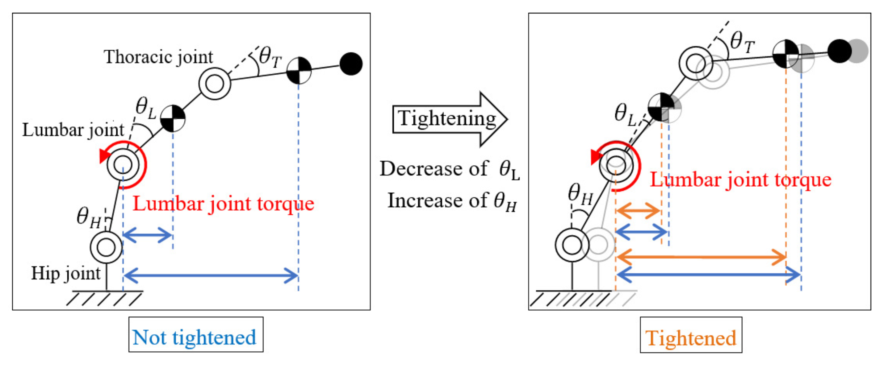Biomechanics 02 00021 g003 Biomechanics 02 00021 g003
