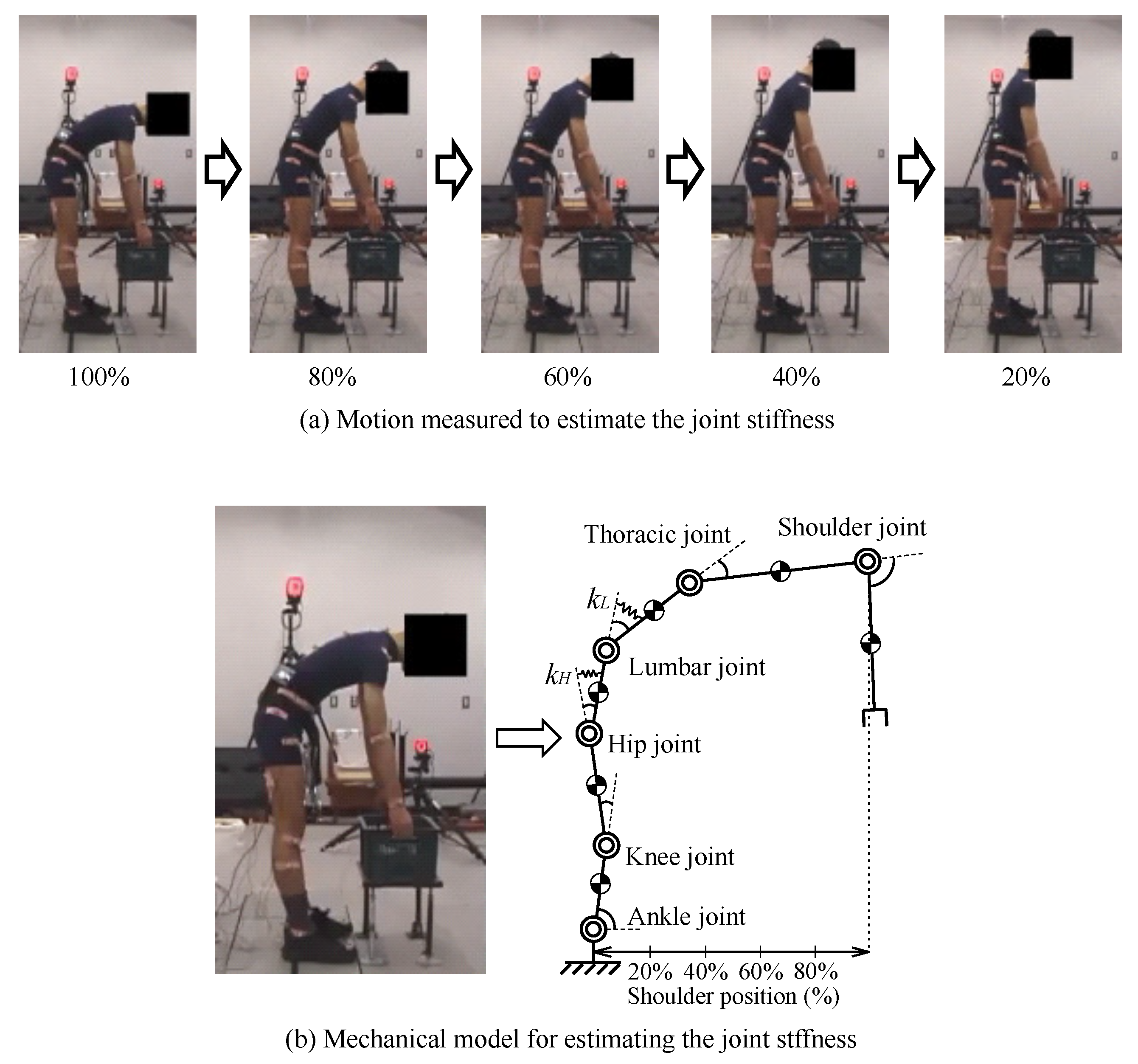 Biomechanics 02 00021 g004 Biomechanics 02 00021 g004