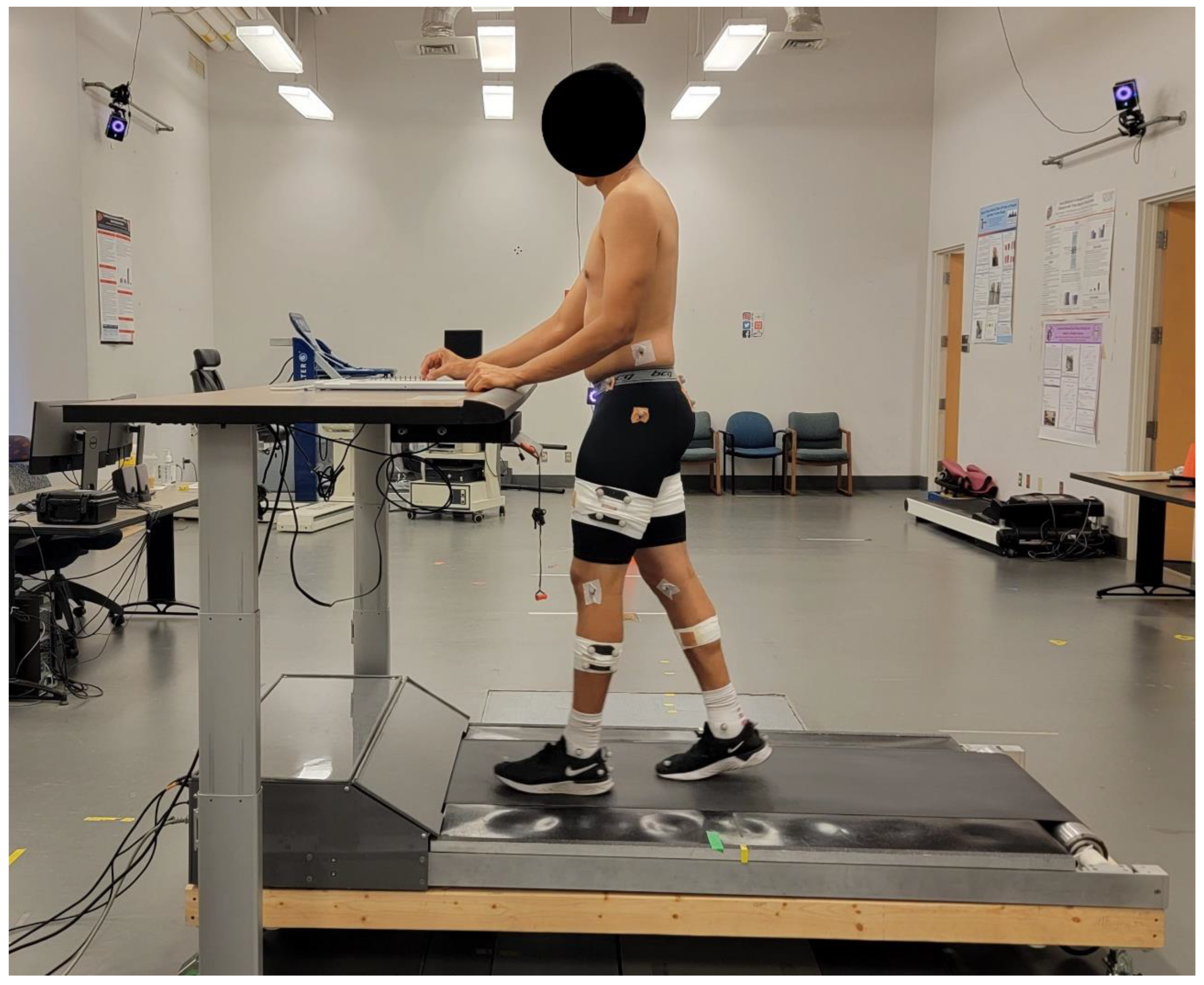 Biomechanics 02 00033 g002