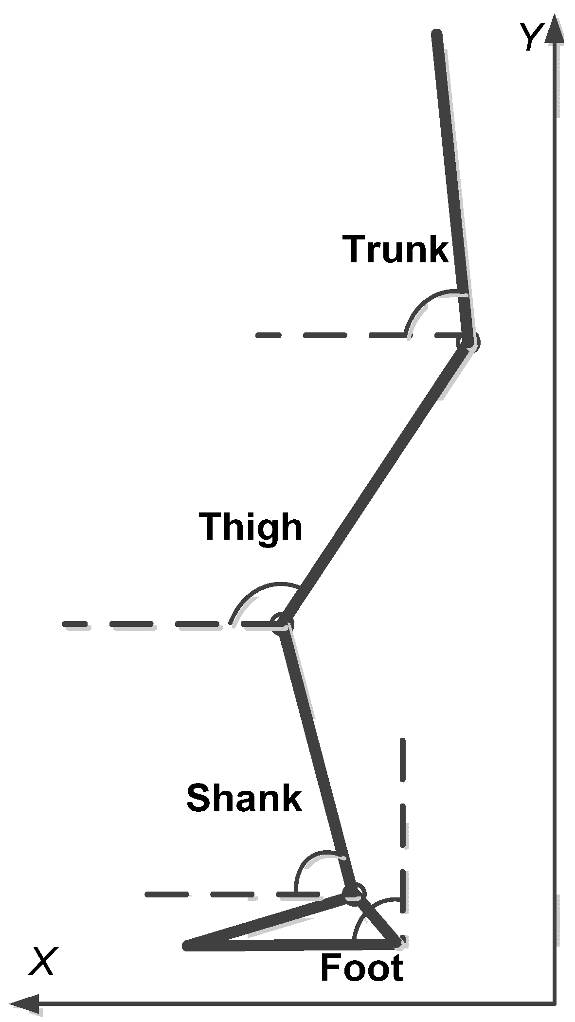 Biomechanics 02 00035 g001