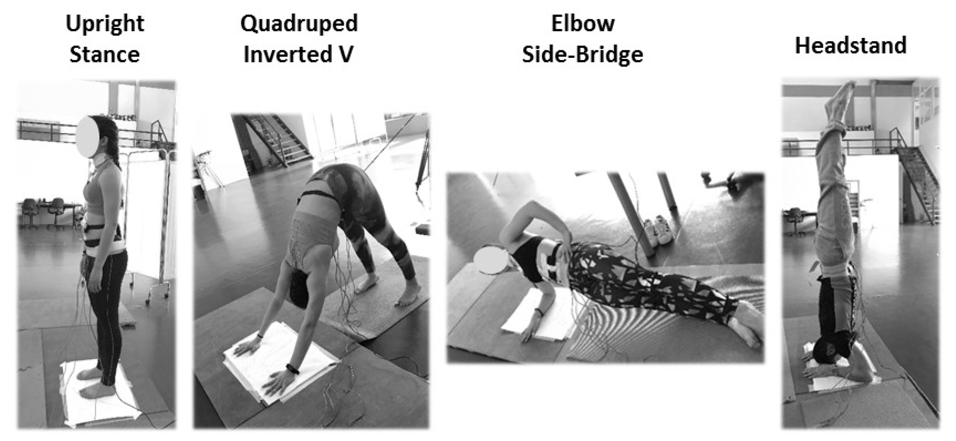 Biomechanics 02 00037 g001