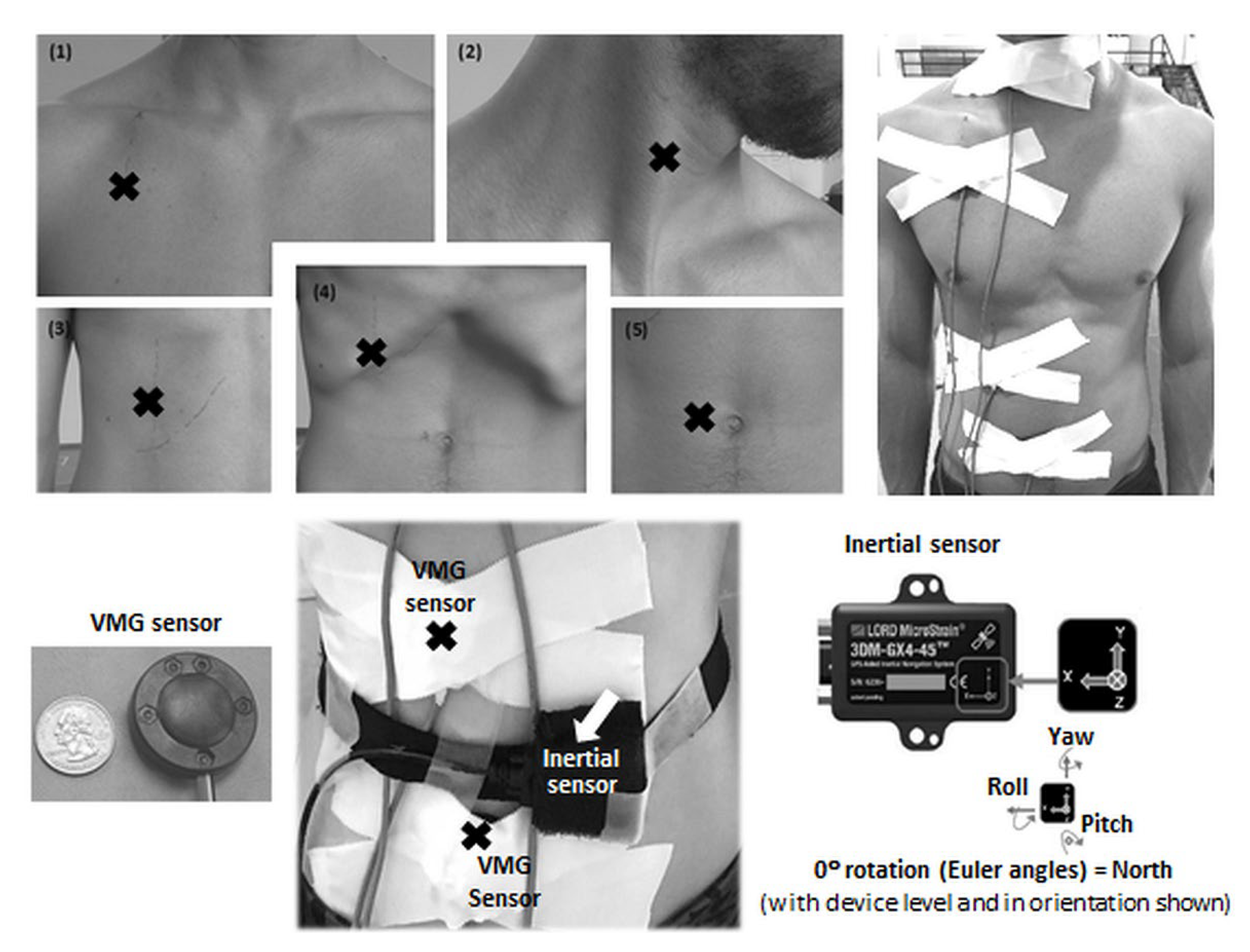 Biomechanics 02 00037 g002