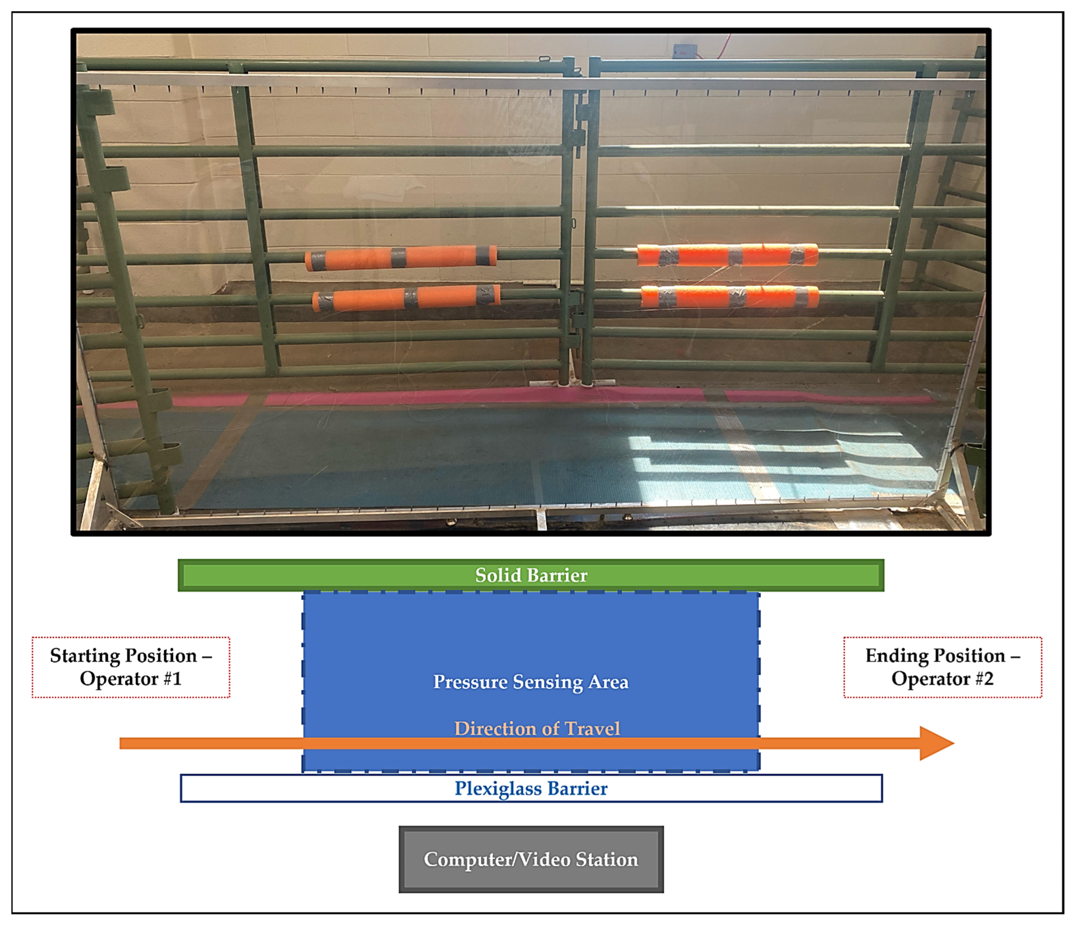 Biomechanics 02 00045 g001