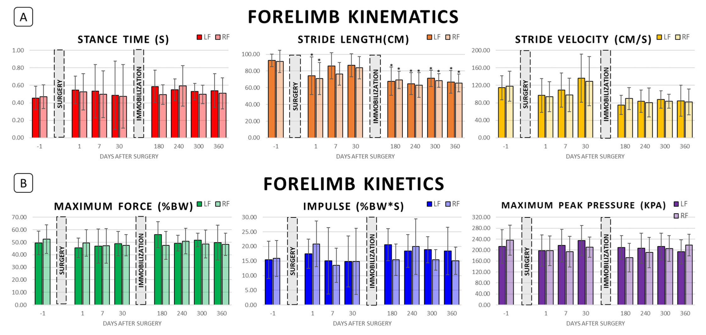Biomechanics 02 00045 g002
