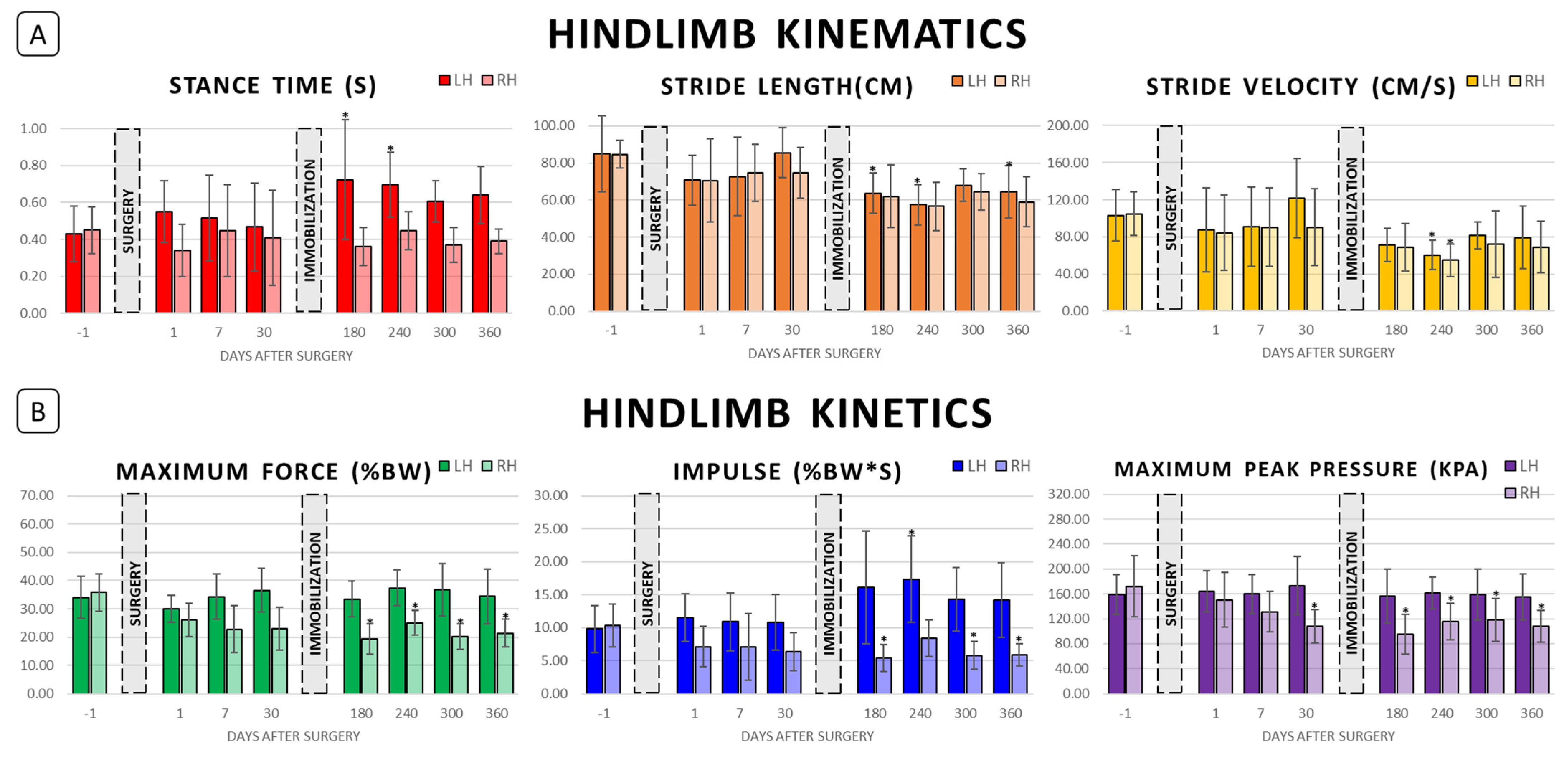 Biomechanics 02 00045 g003