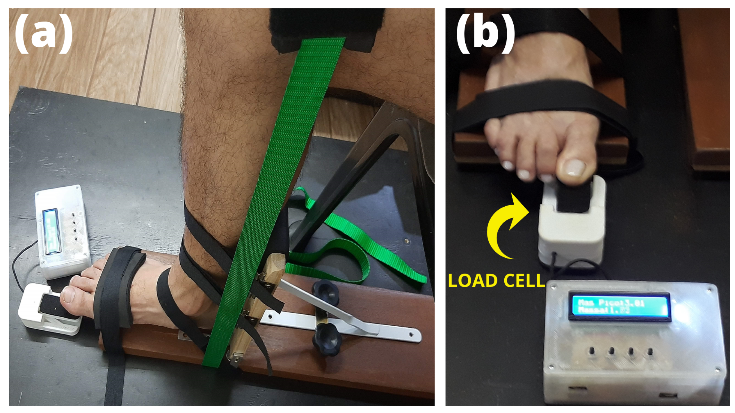 Biomechanics 02 00048 g001