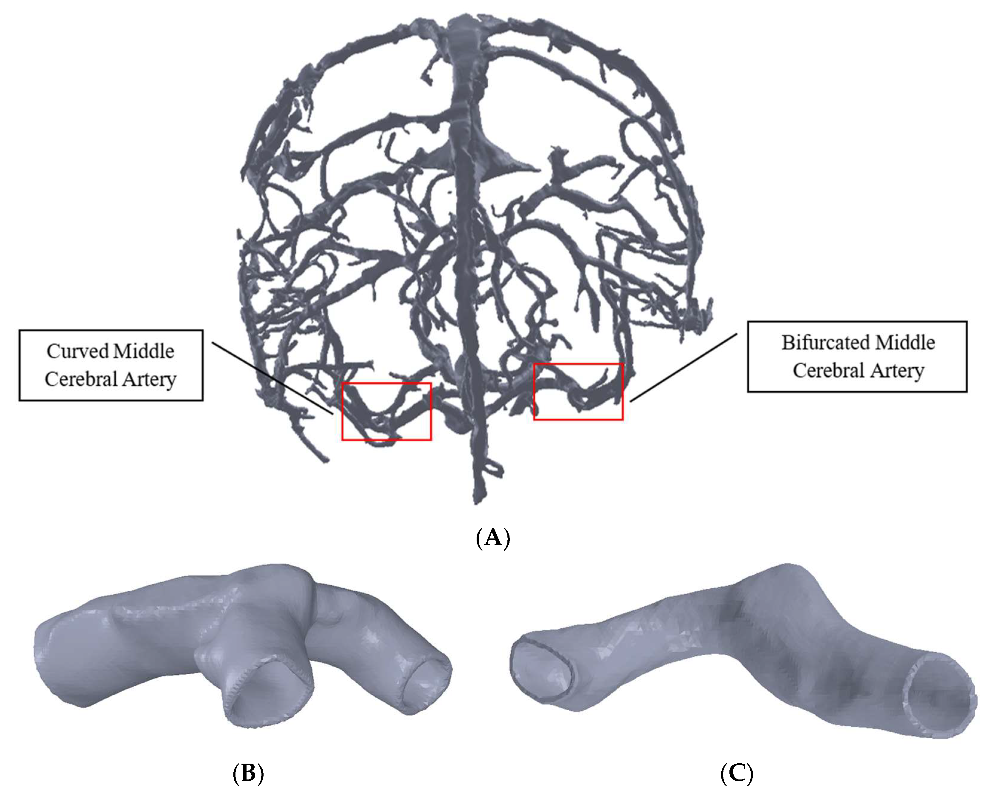 Biomechanics 03 00002 g001