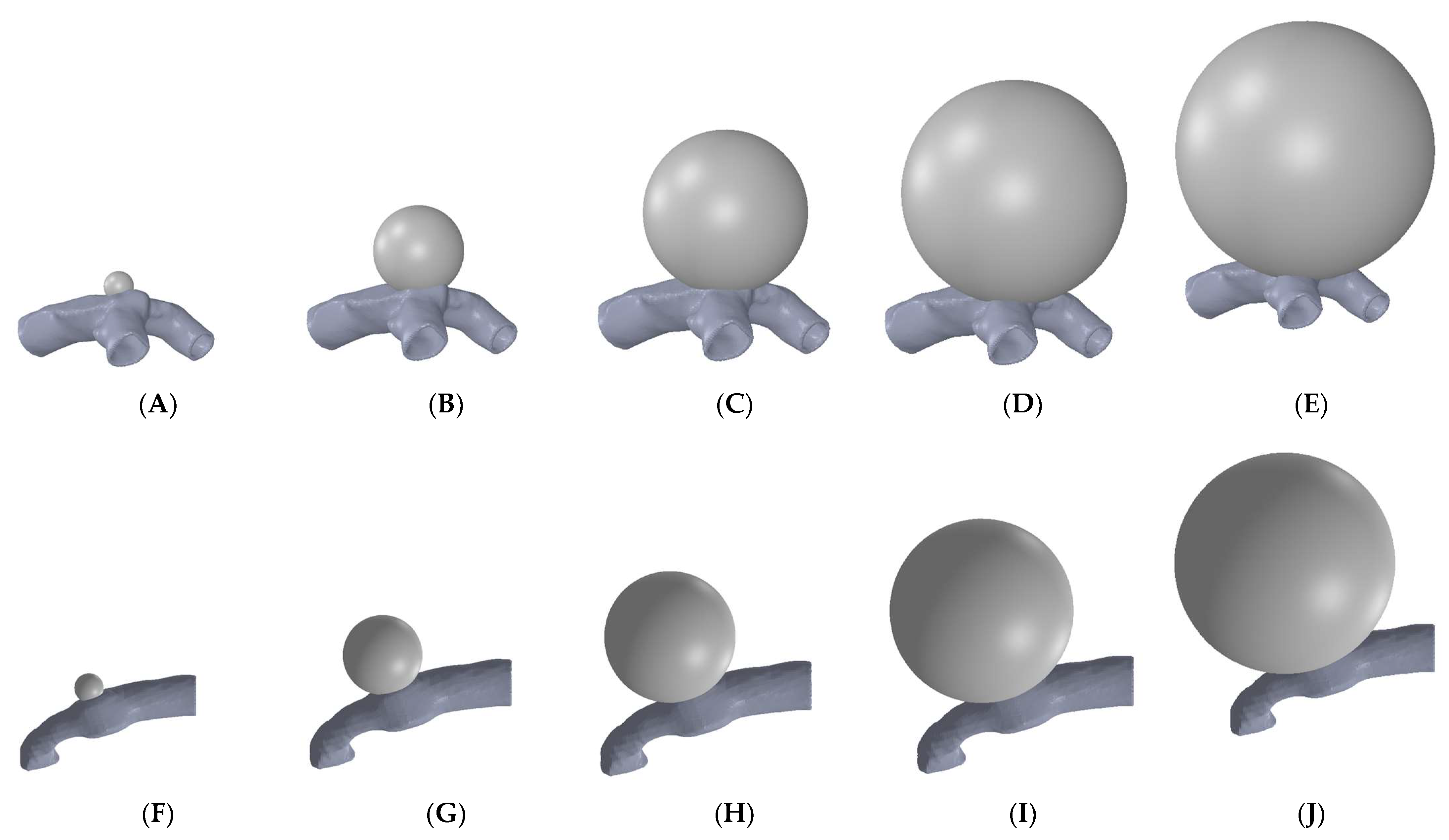 Biomechanics 03 00002 g002