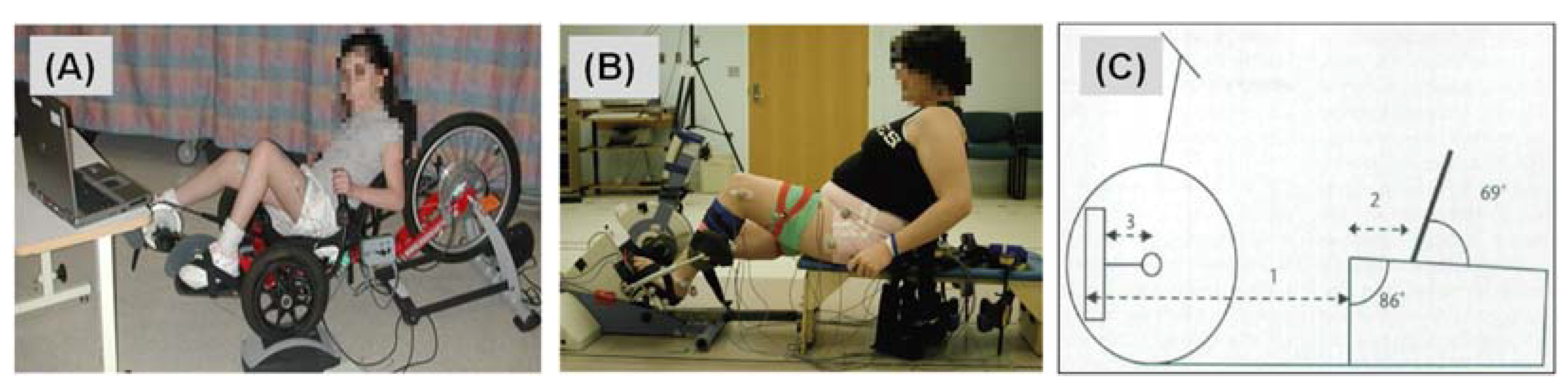 Biomechanics 03 00008 g001 Biomechanics 03 00008 g001