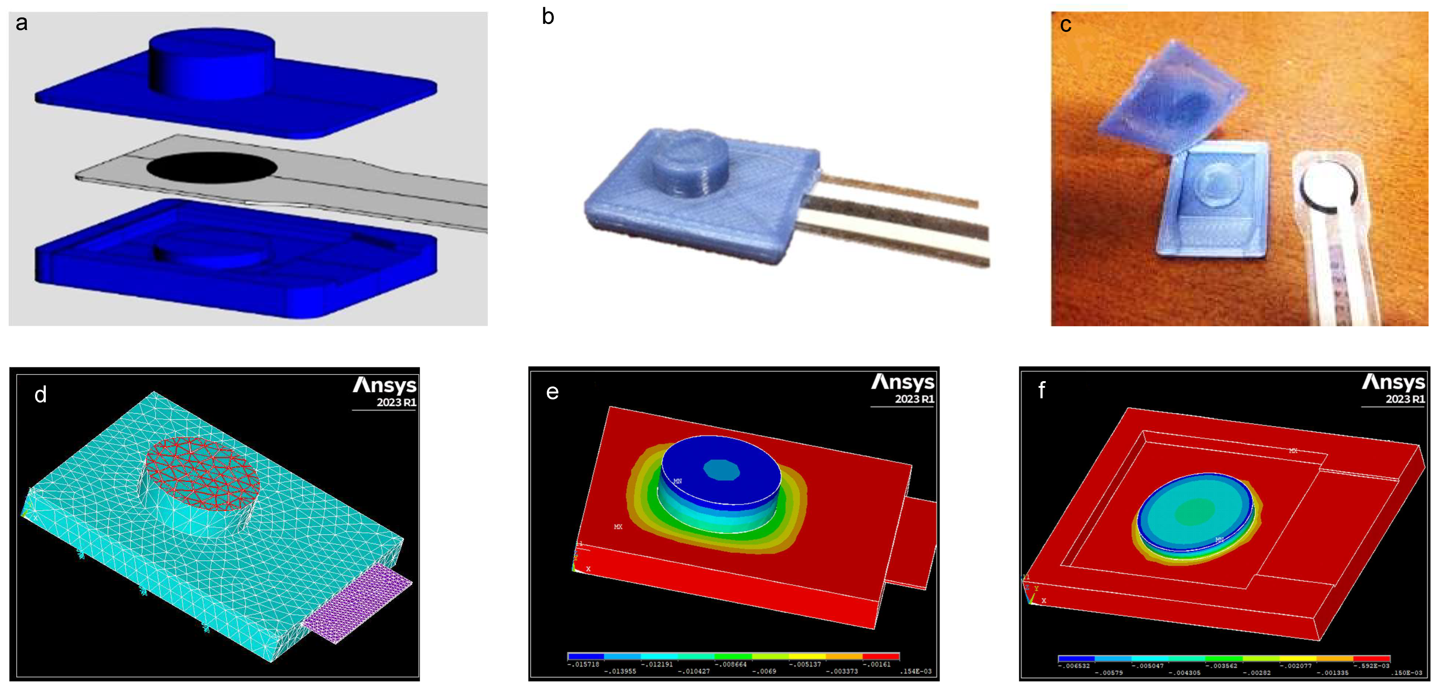 Biomechanics 03 00011 g001
