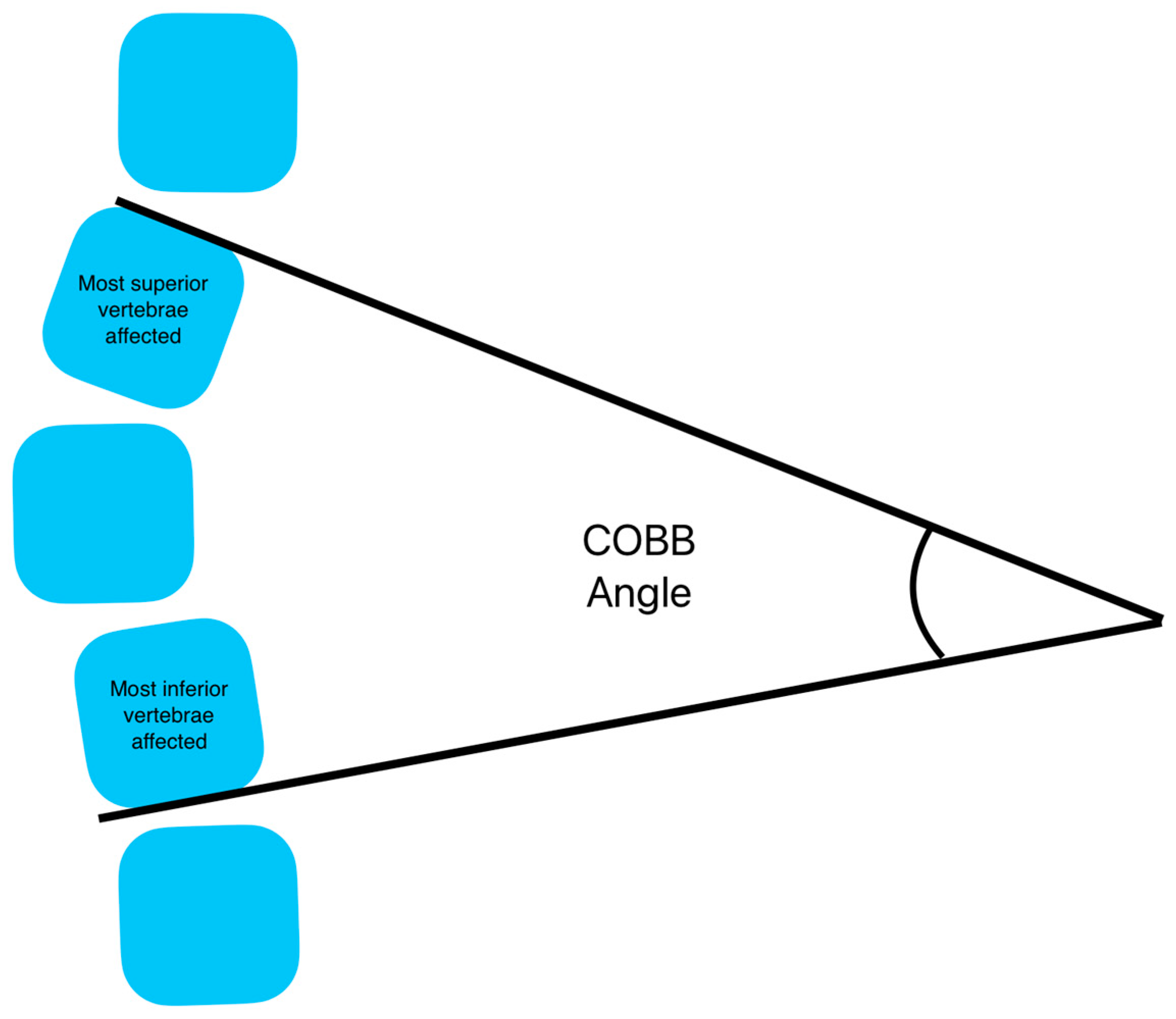 Biomechanics 03 00013 g002