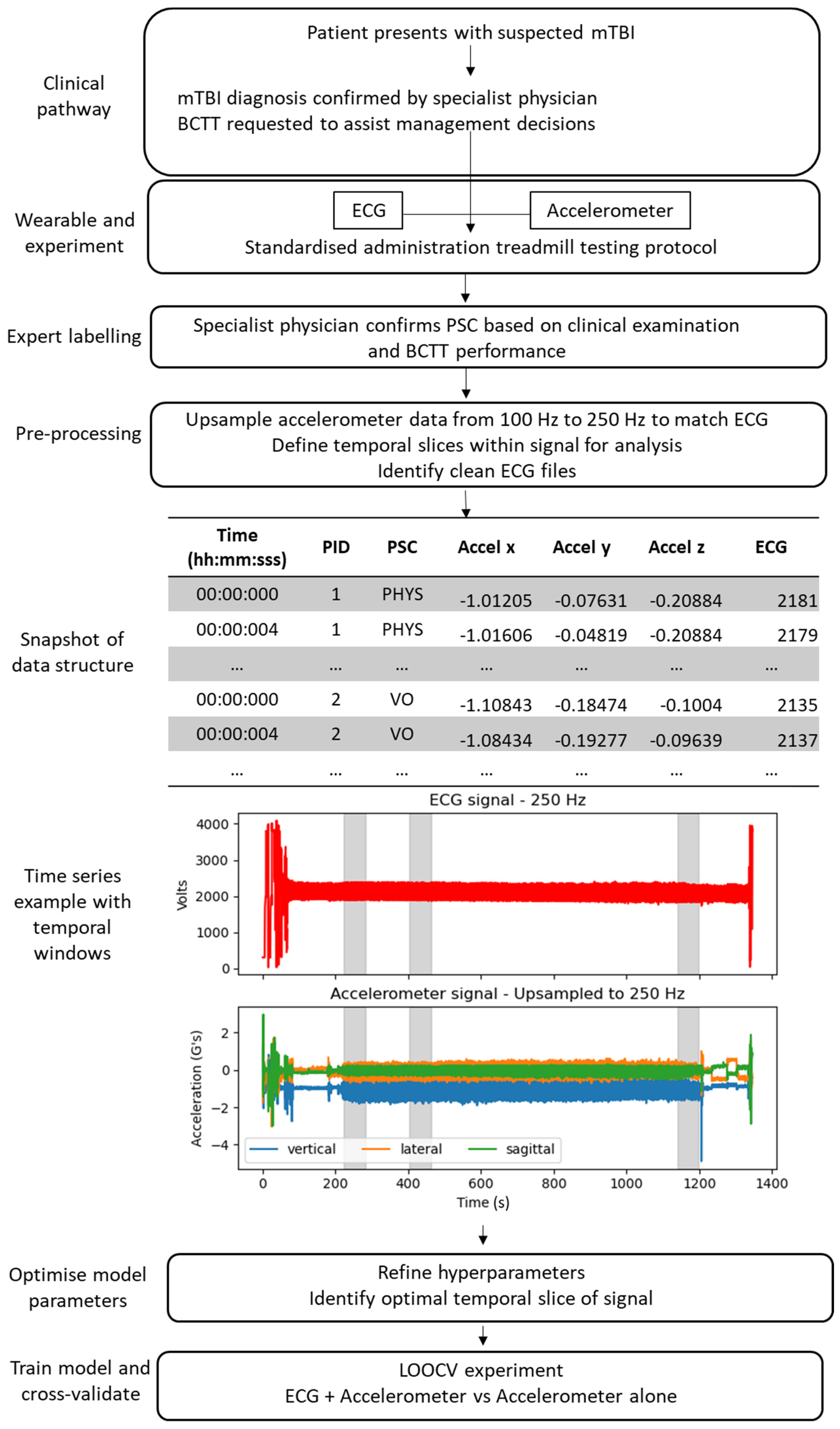 Biomechanics 03 00020 g001