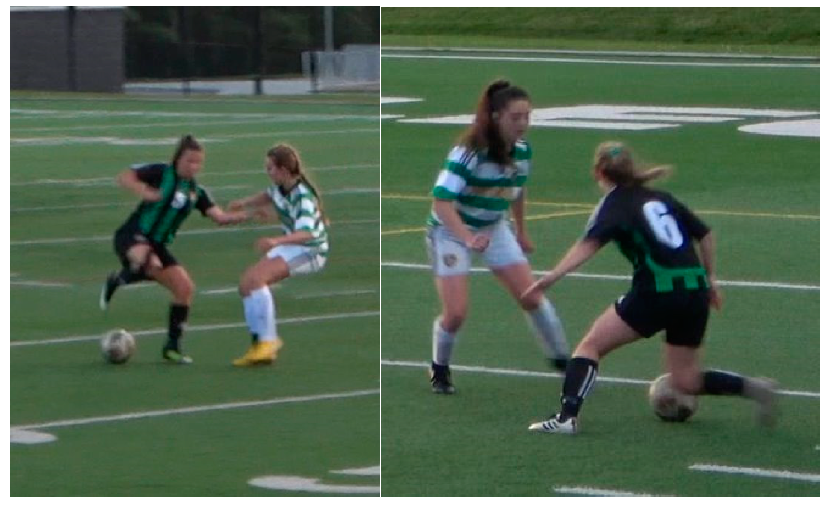 Biomechanics 03 00021 g002