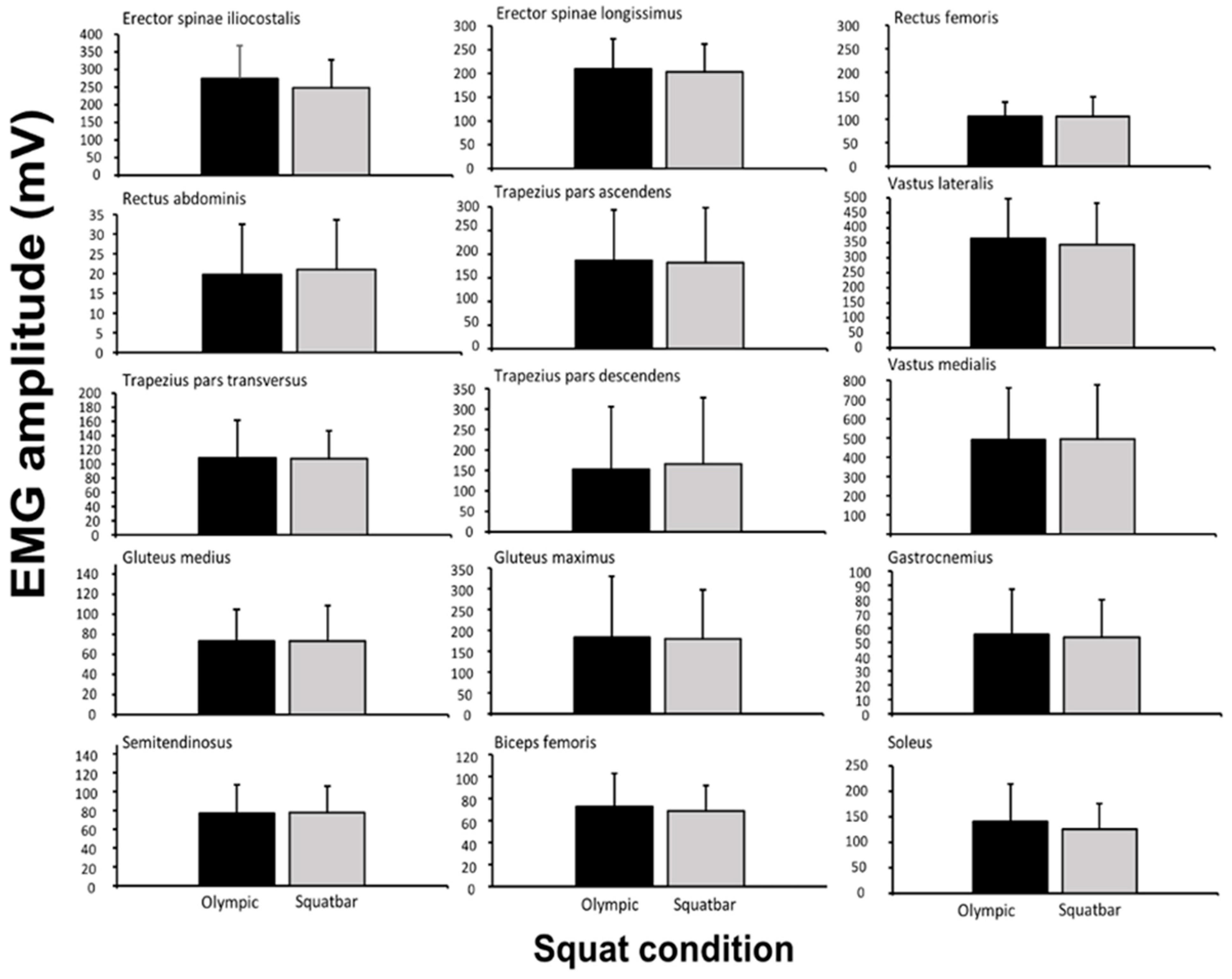 Biomechanics 03 00022 g004