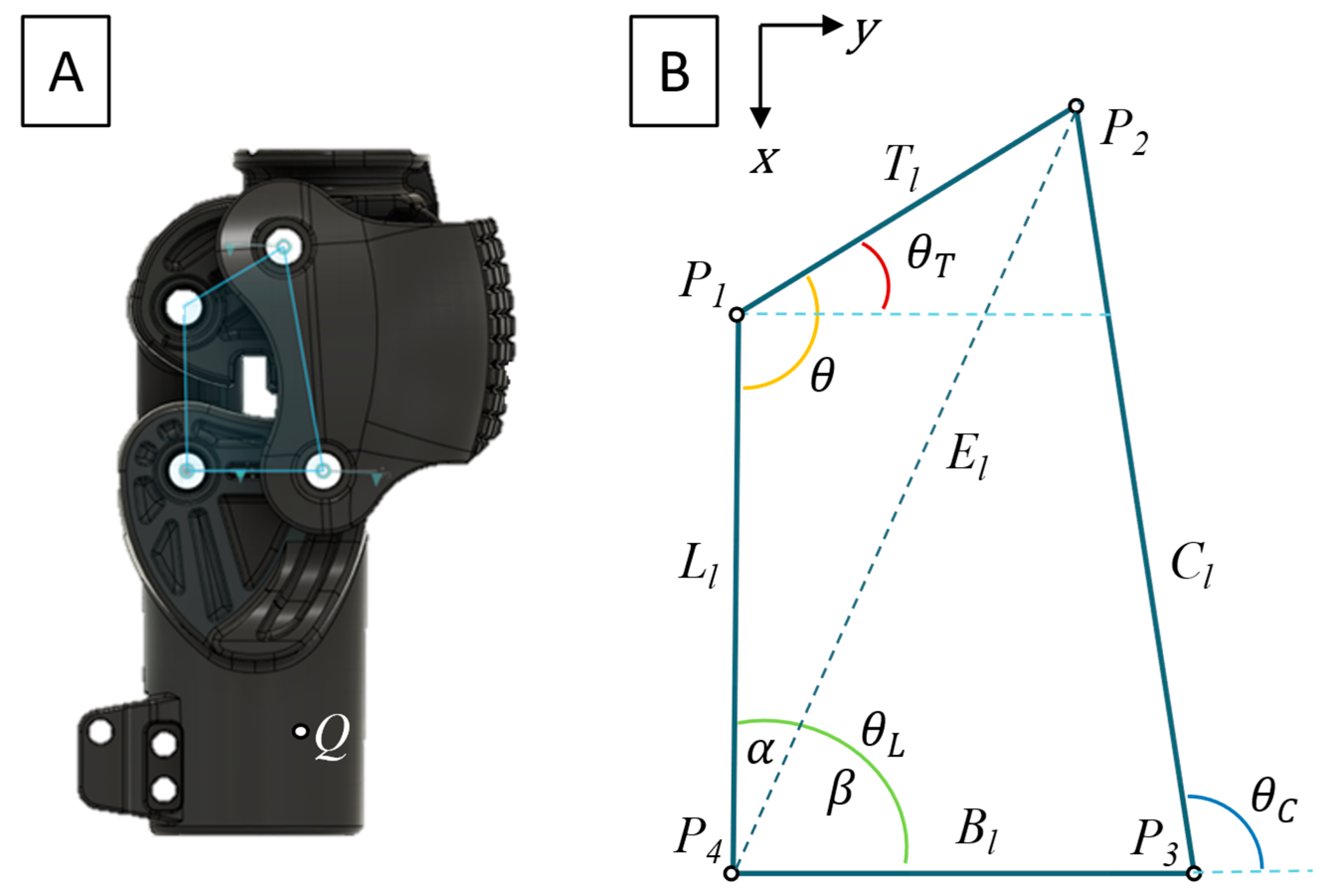 Biomechanics 03 00040 g001