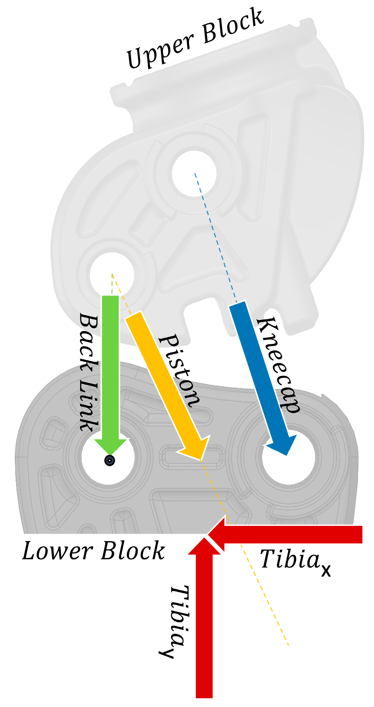 Biomechanics 03 00040 g002