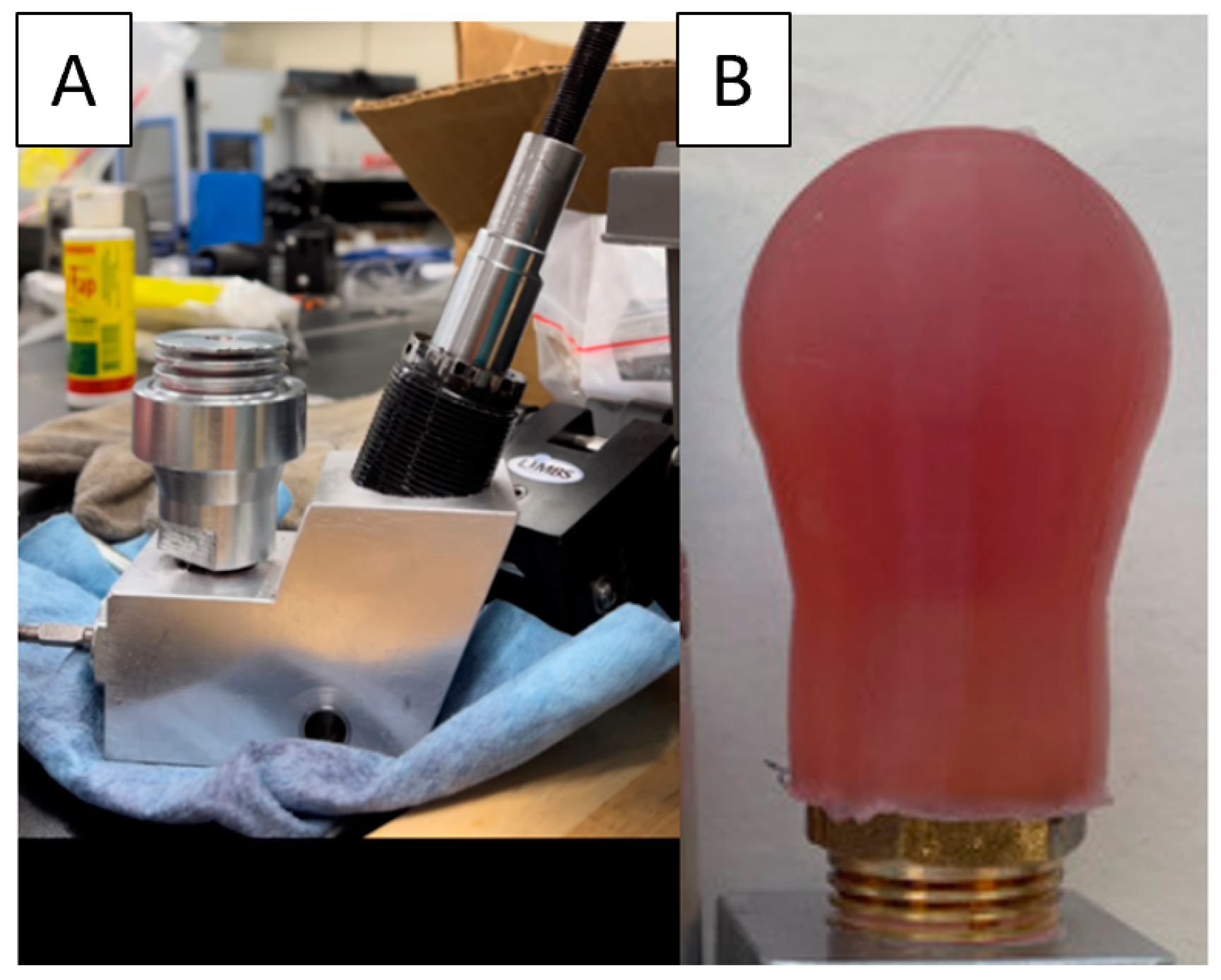 Biomechanics 03 00040 g005
