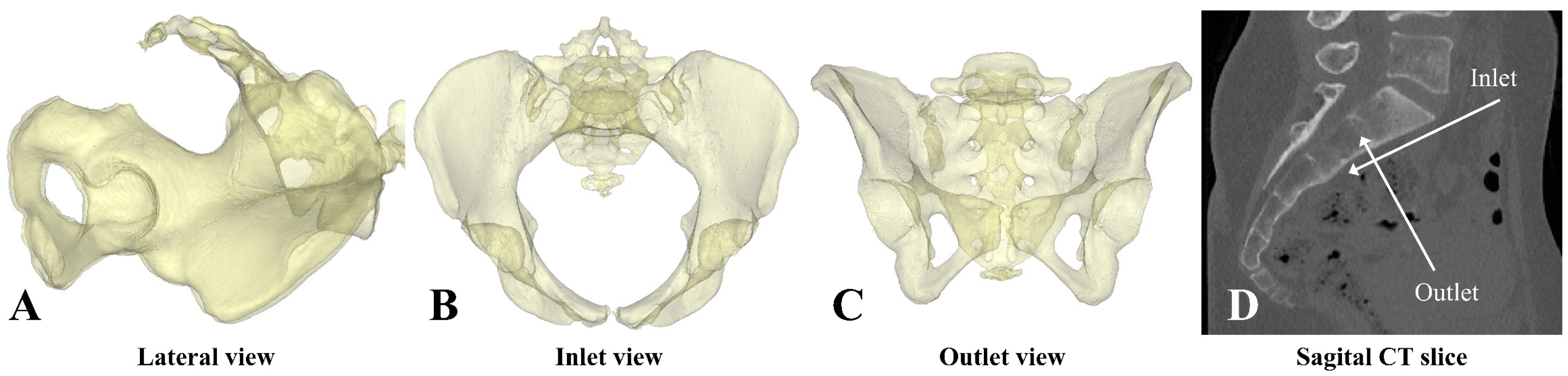 Biomechanics 03 00041 g001