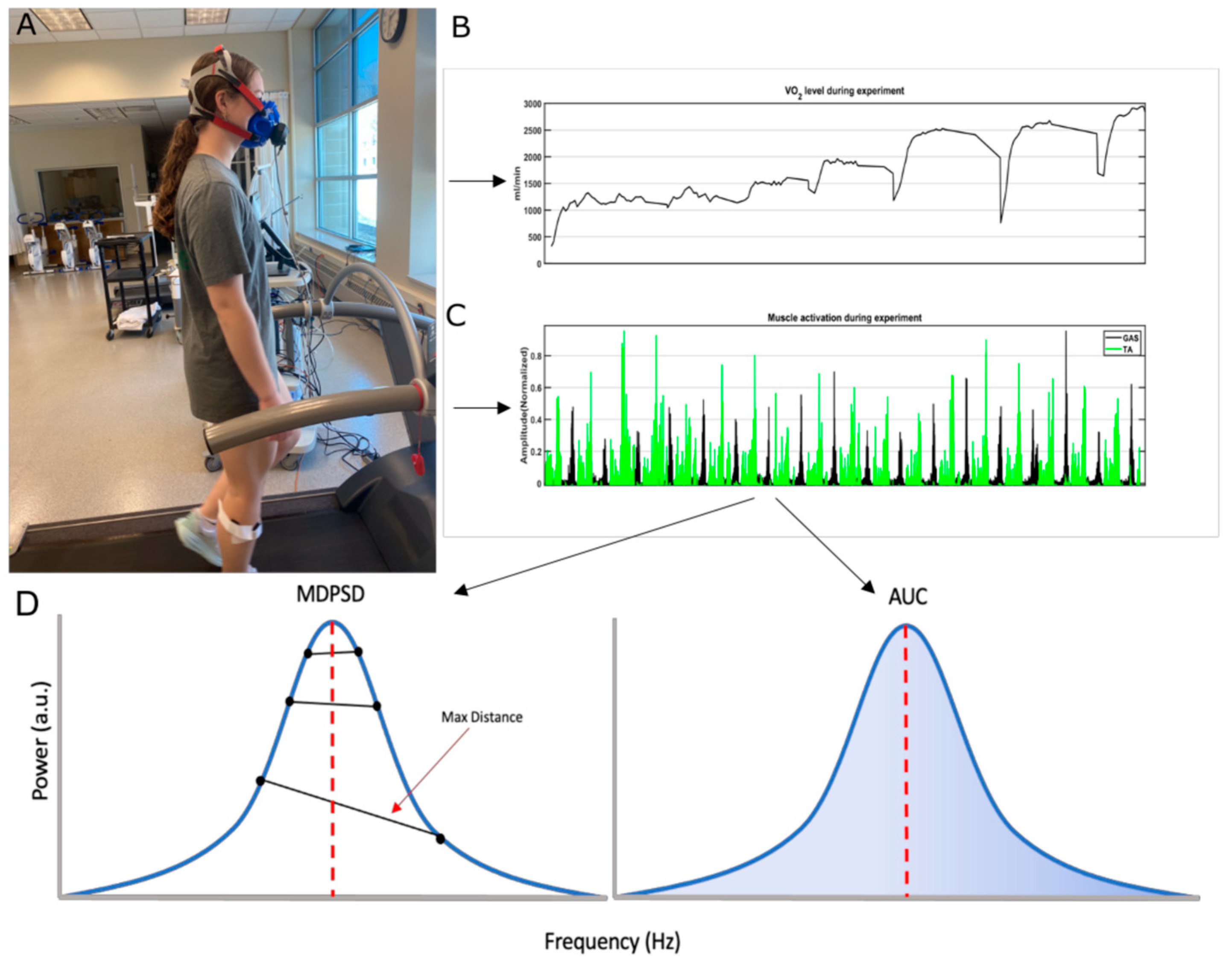 Biomechanics 04 00016 g001
