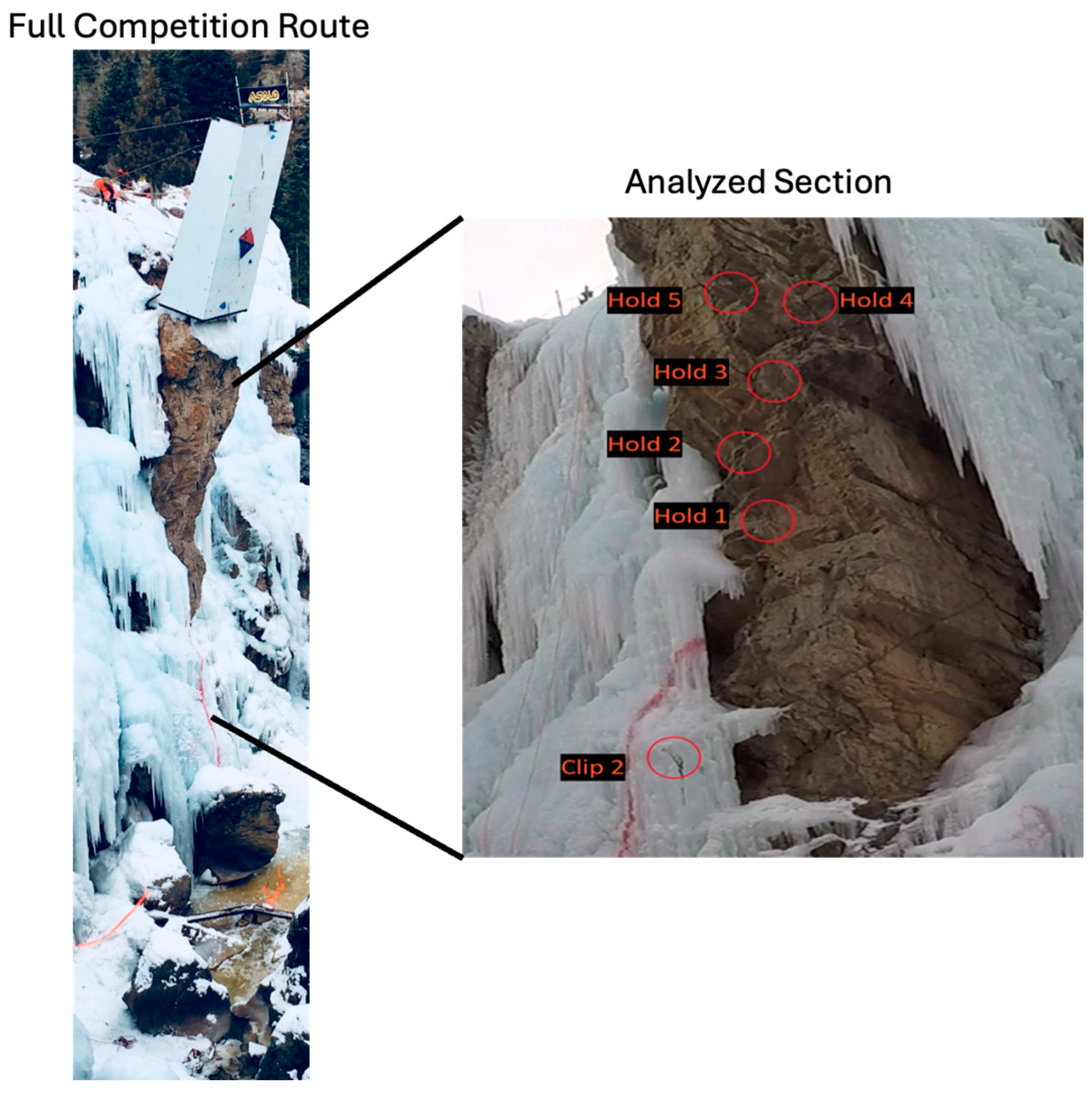 Biomechanics 04 00031 g001
