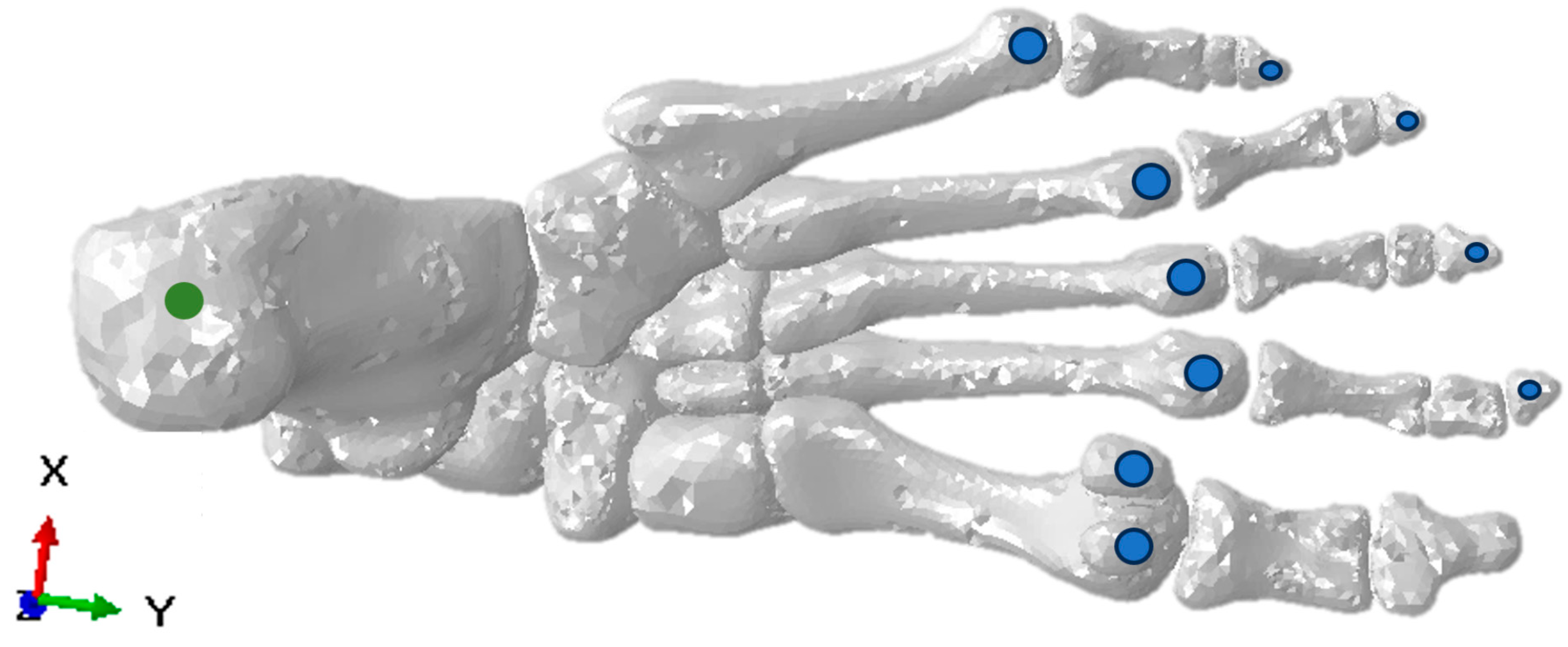 Biomechanics 04 00035 g003