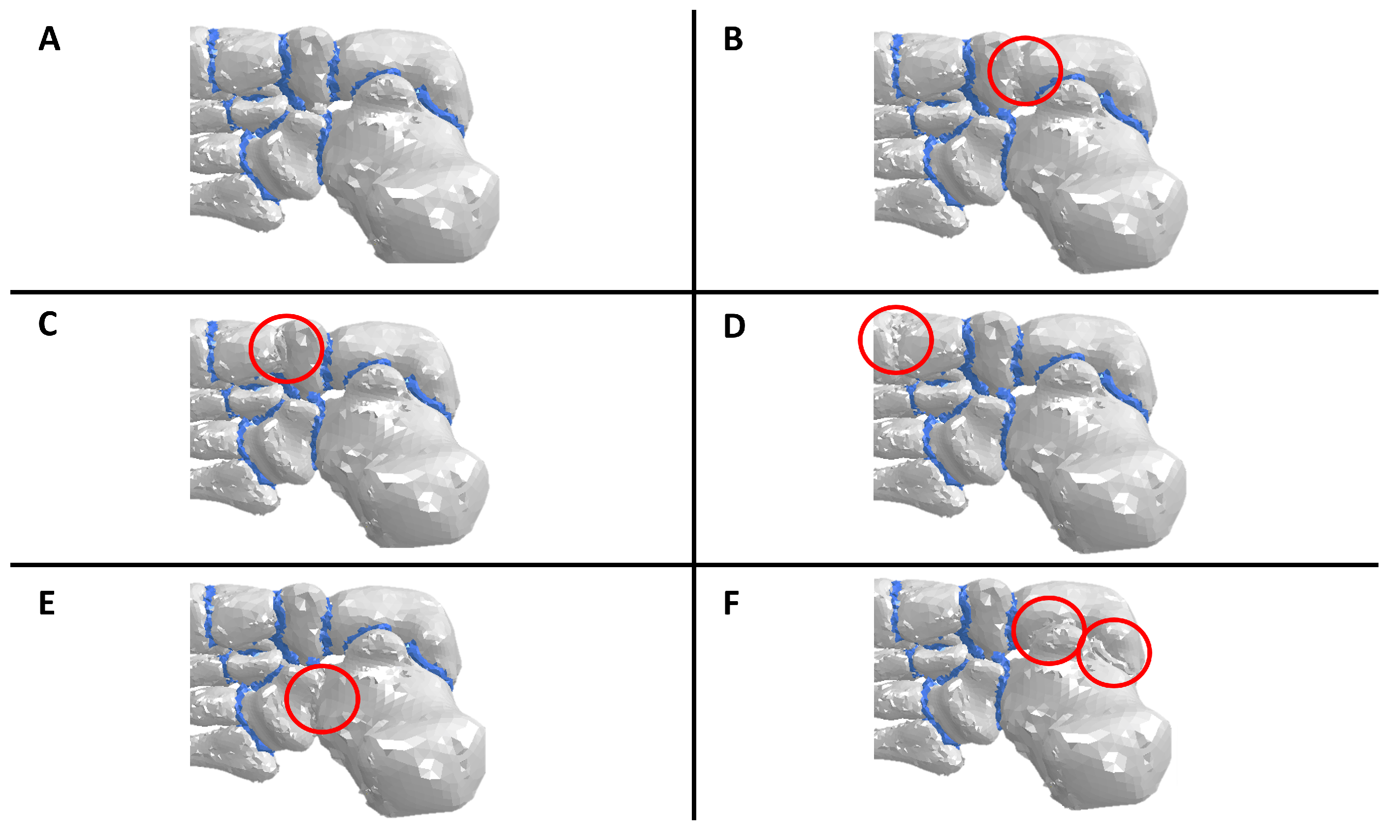 Biomechanics 04 00035 g004