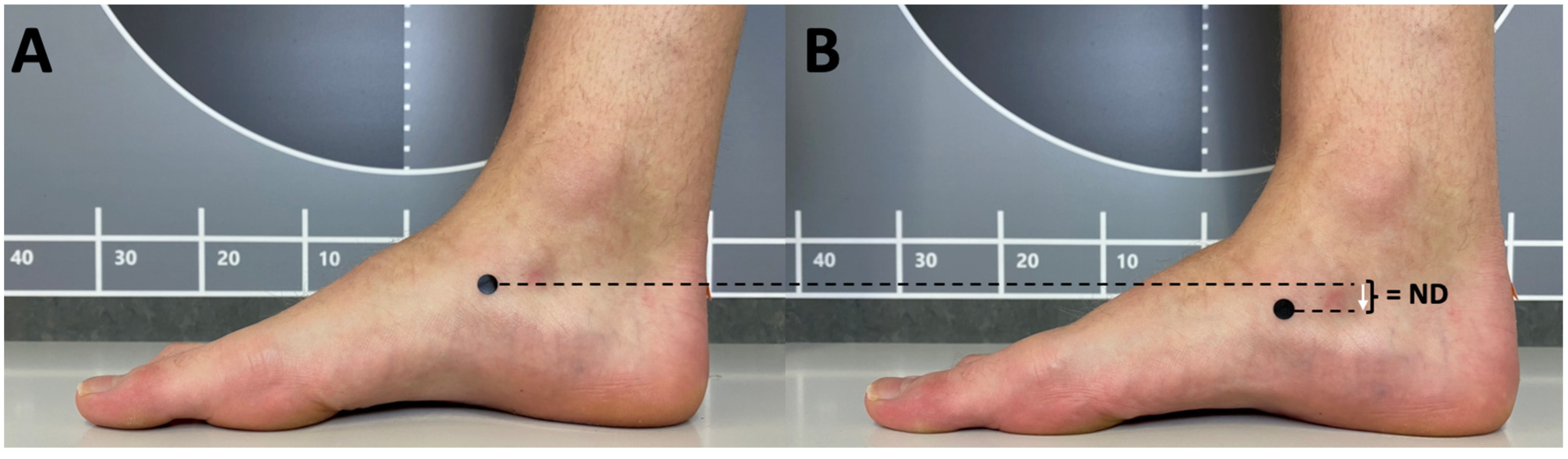 Biomechanics 04 00039 g001