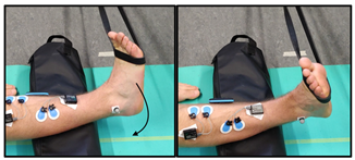 Biomechanics 04 00039 i003