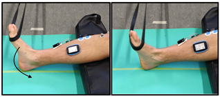 Biomechanics 04 00039 i004