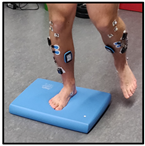 Biomechanics 04 00039 i005