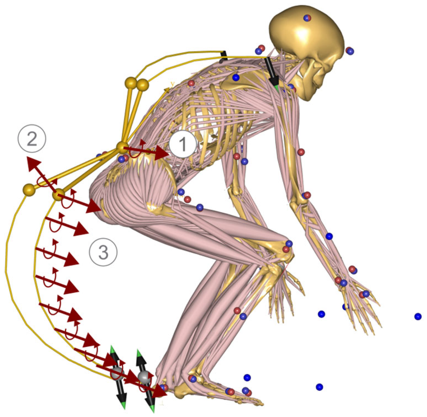 Biomechanics 04 00040 g006