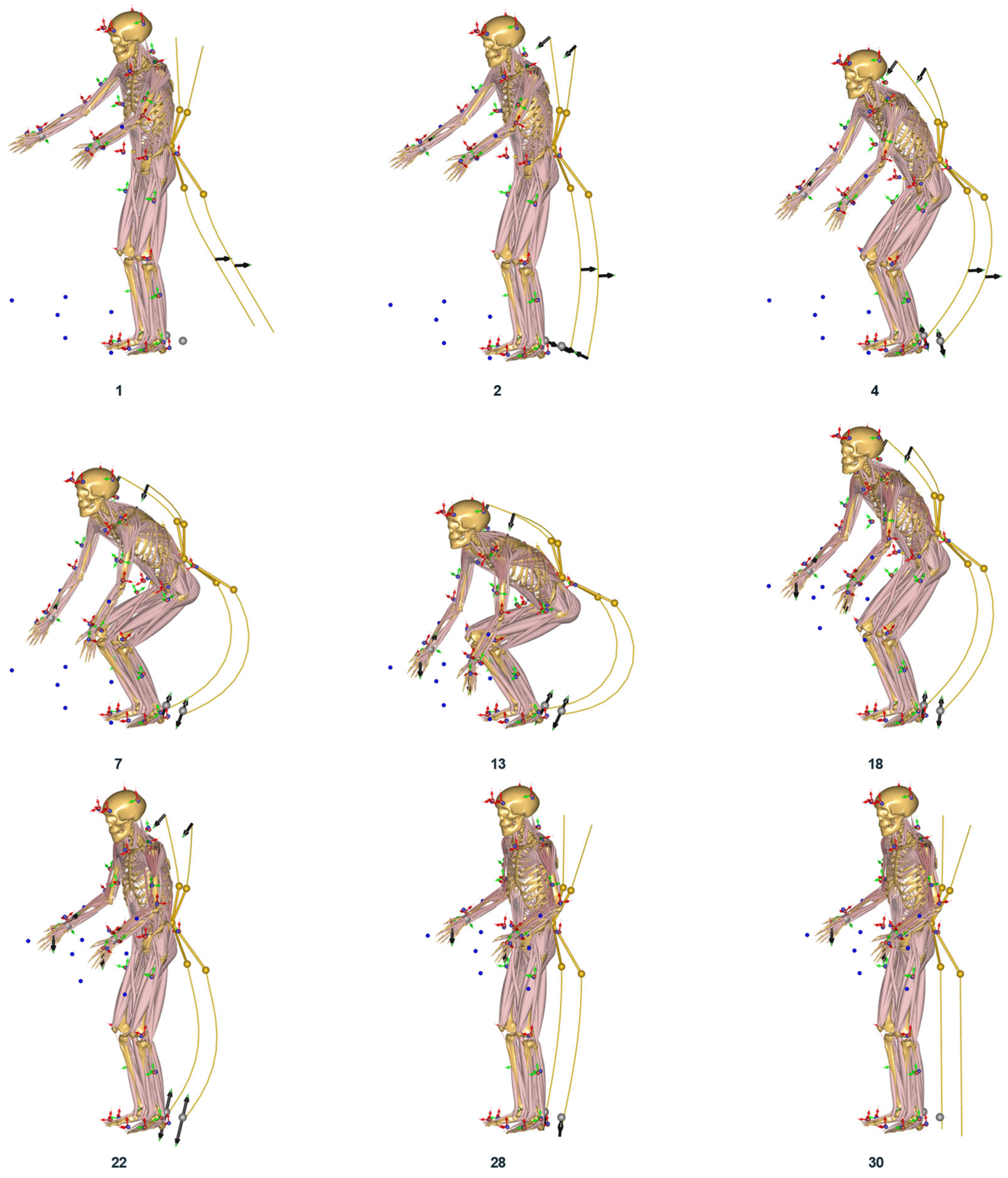 Biomechanics 04 00040 g008