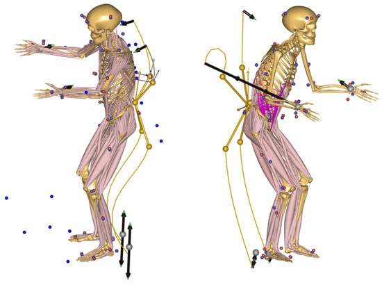 Biomechanics 04 00040 g0a5