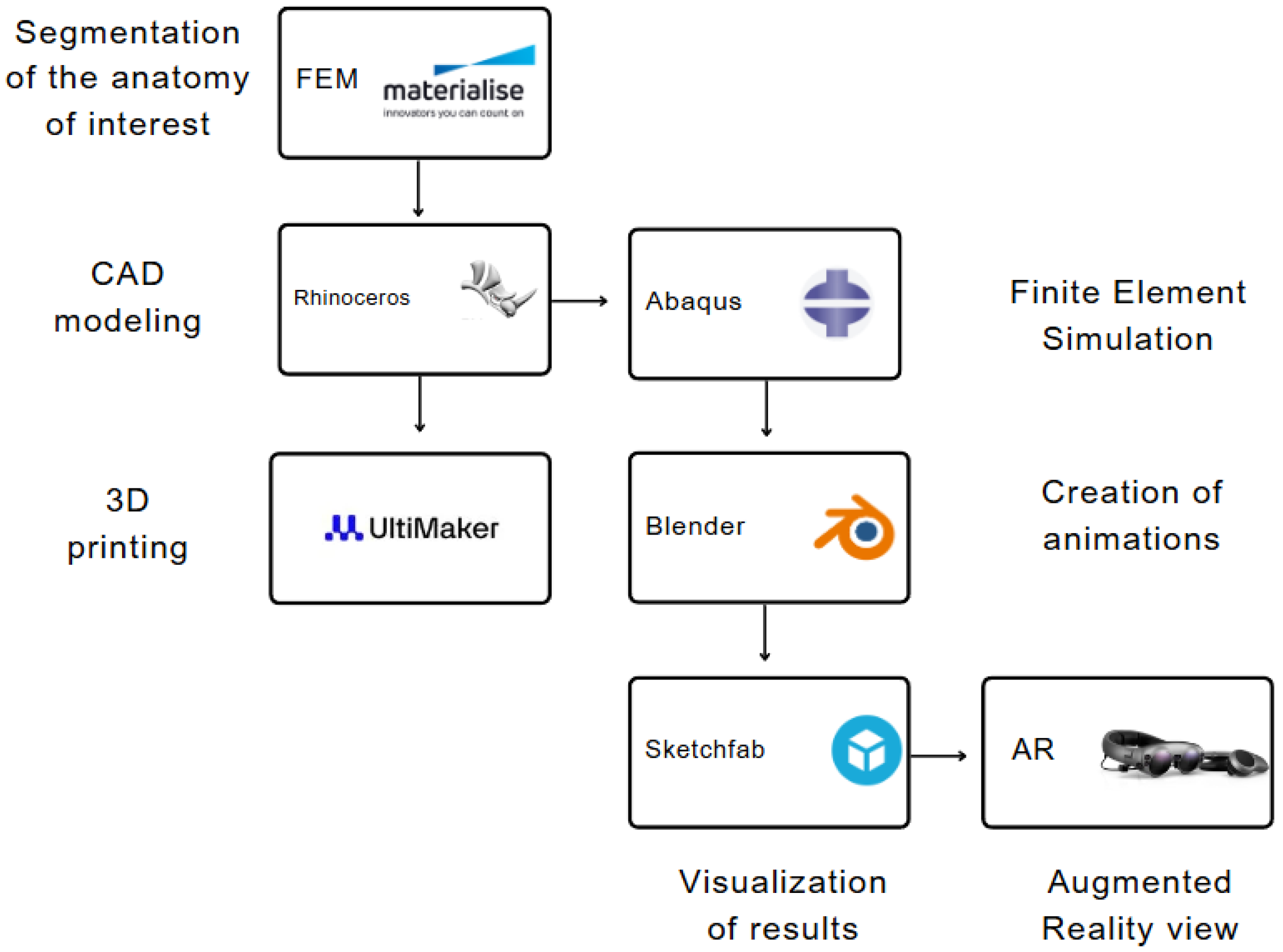 Biomechanics 04 00053 g001