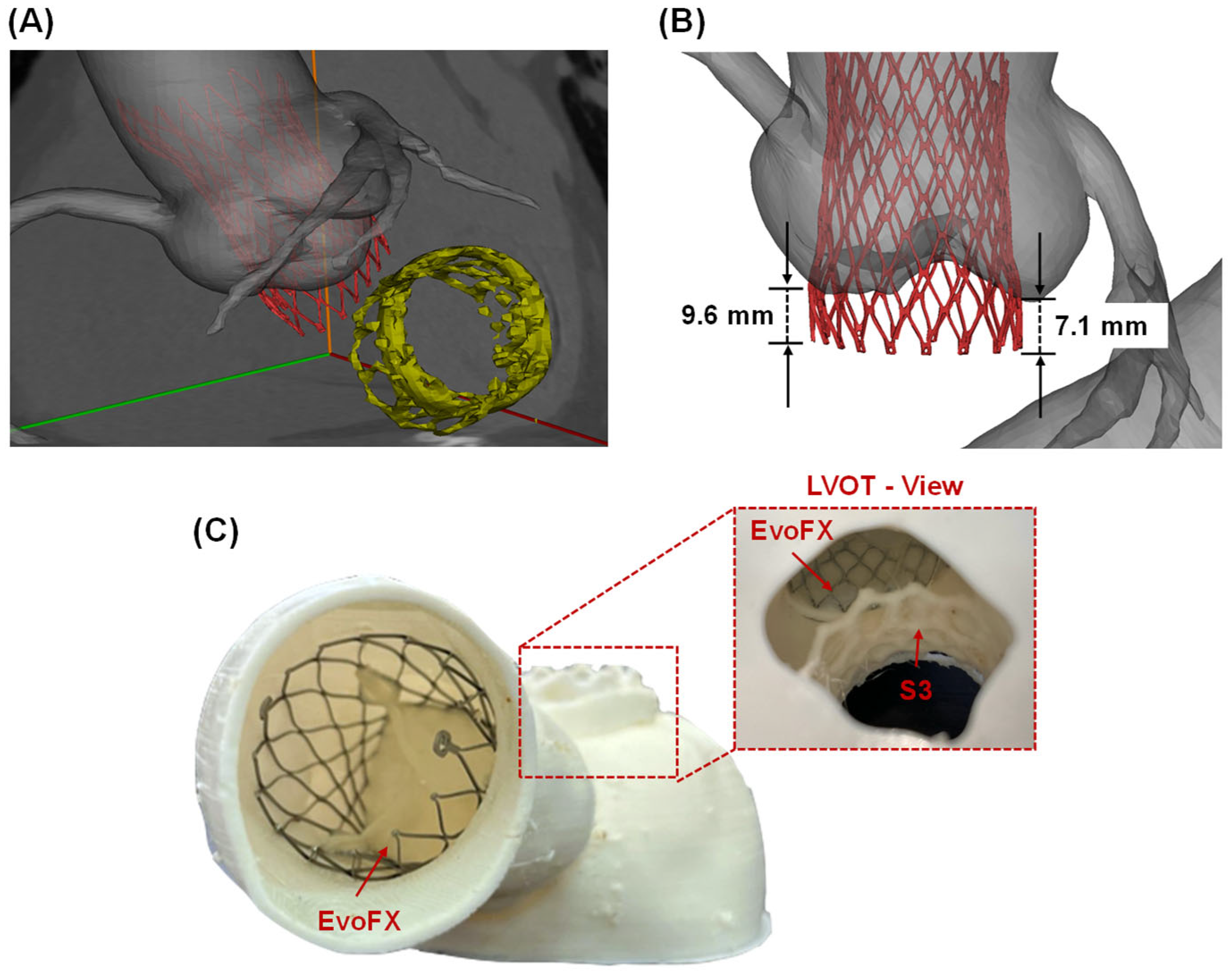 Biomechanics 04 00053 g002