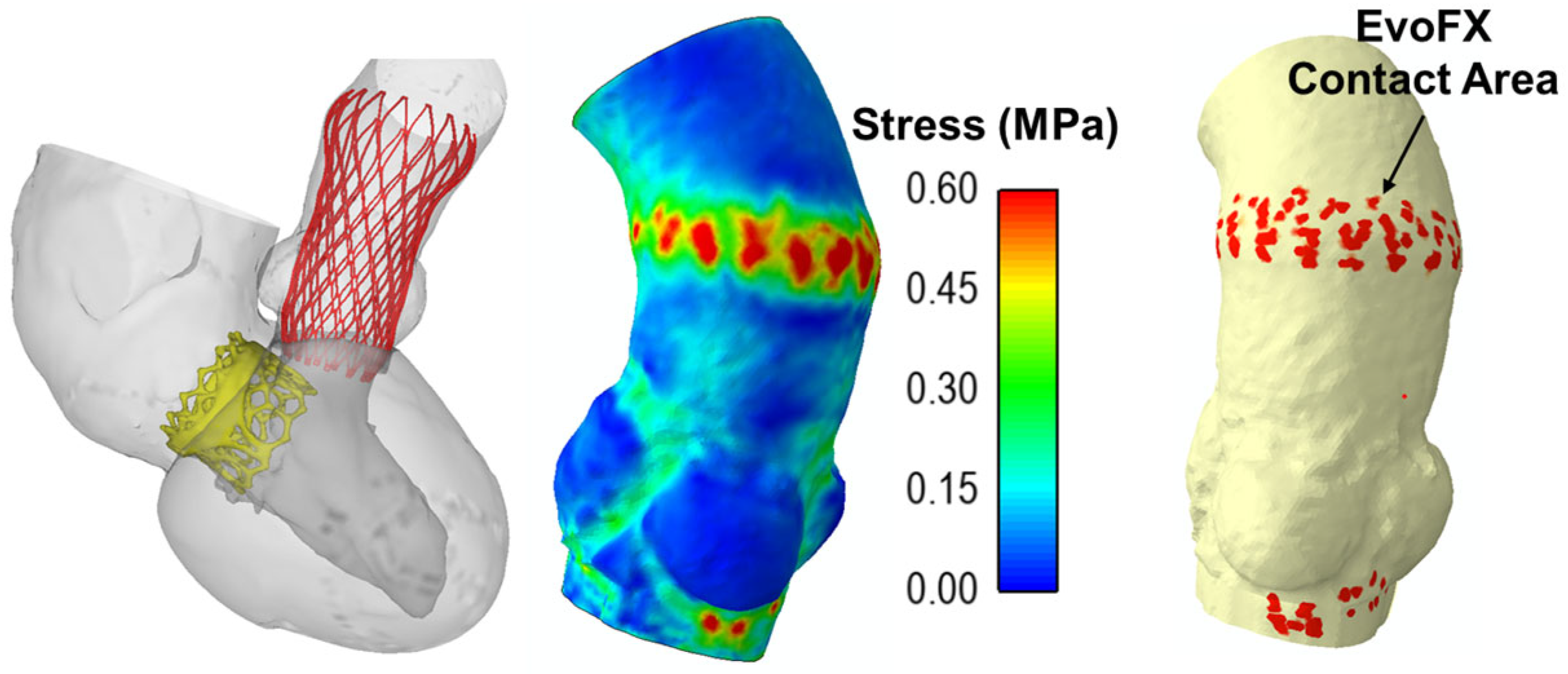 Biomechanics 04 00053 g003