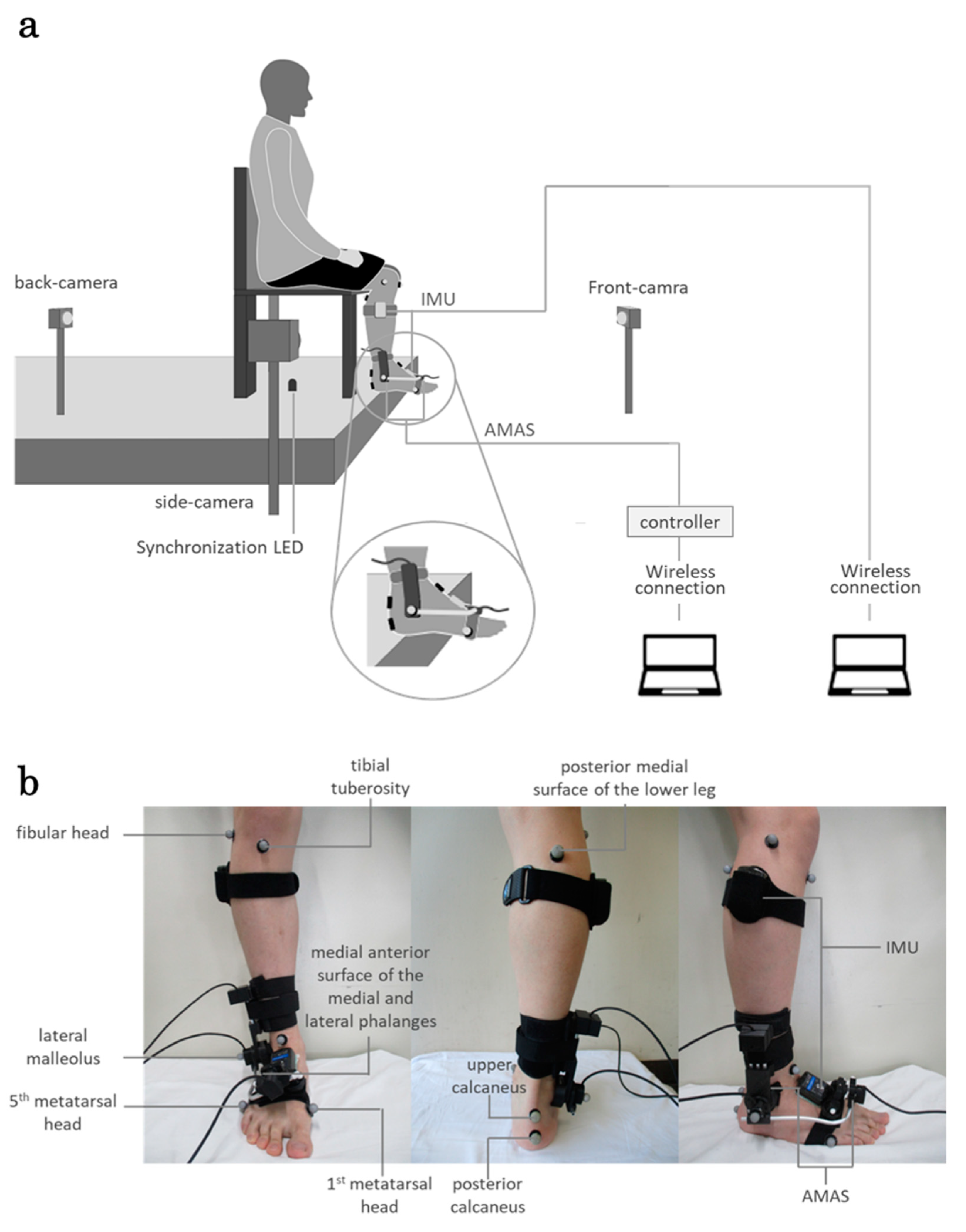 Biomechanics 05 00002 g001