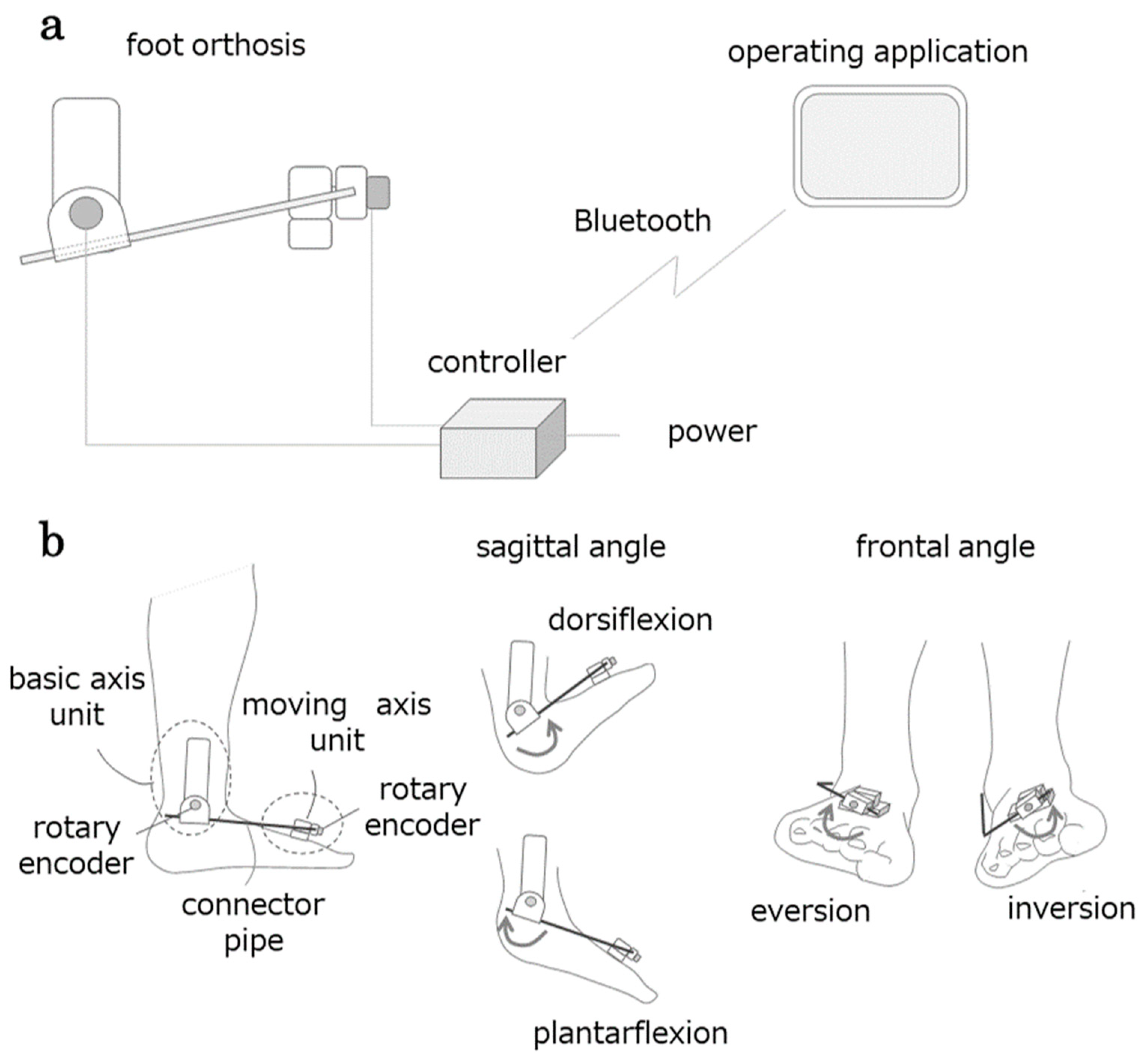 Biomechanics 05 00002 g002