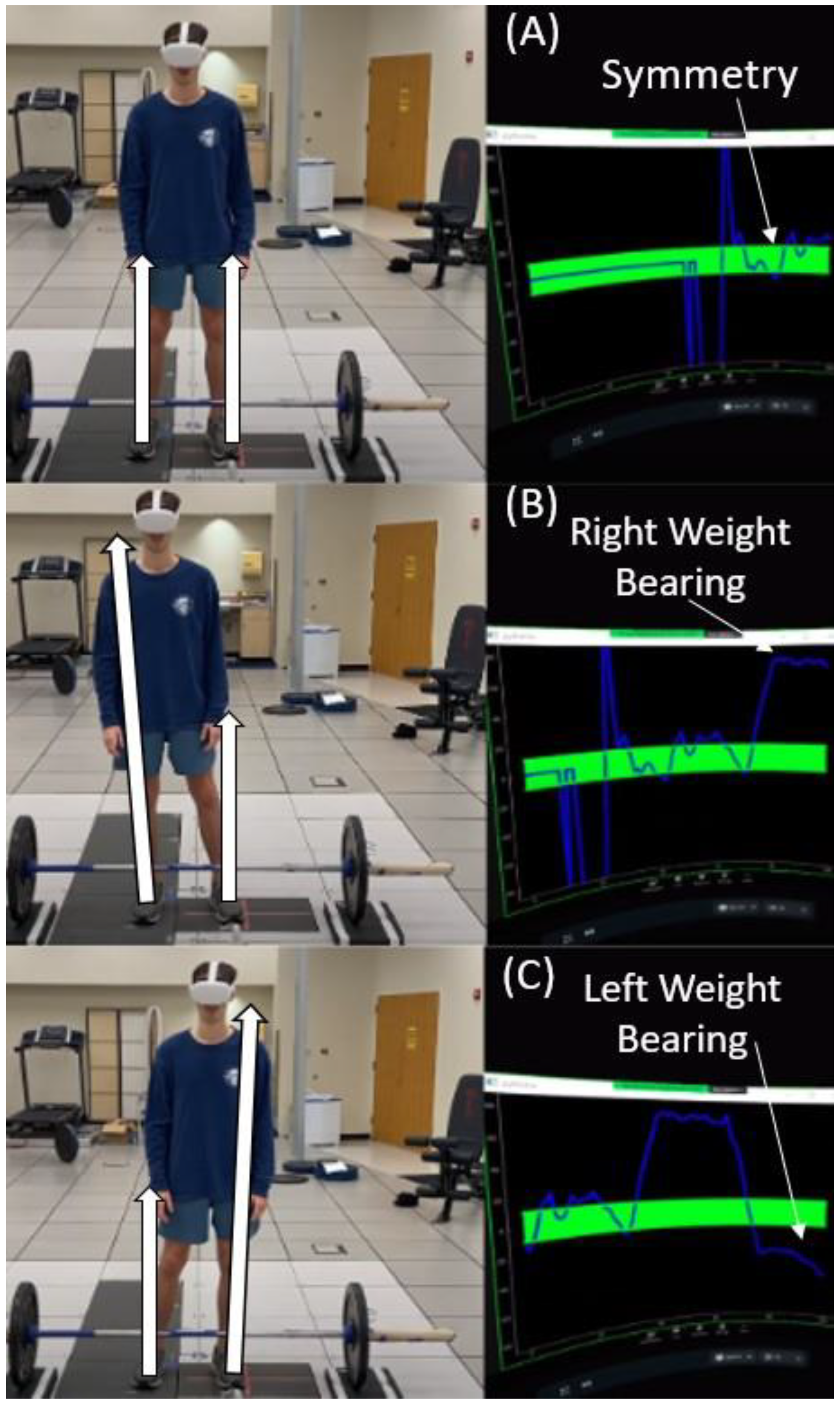 Biomechanics 05 00006 g001 Biomechanics 05 00006 g001