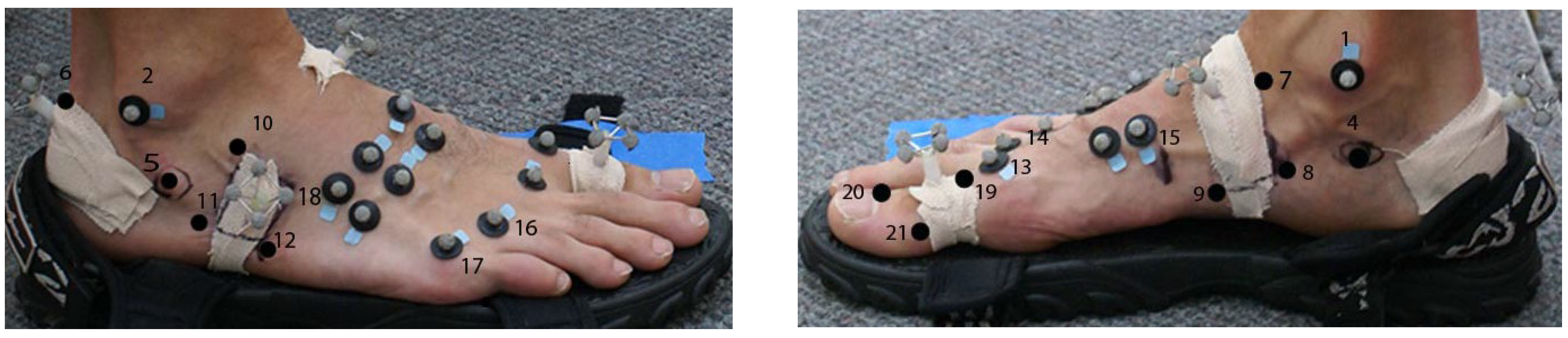 Biomechanics 05 00034 g001