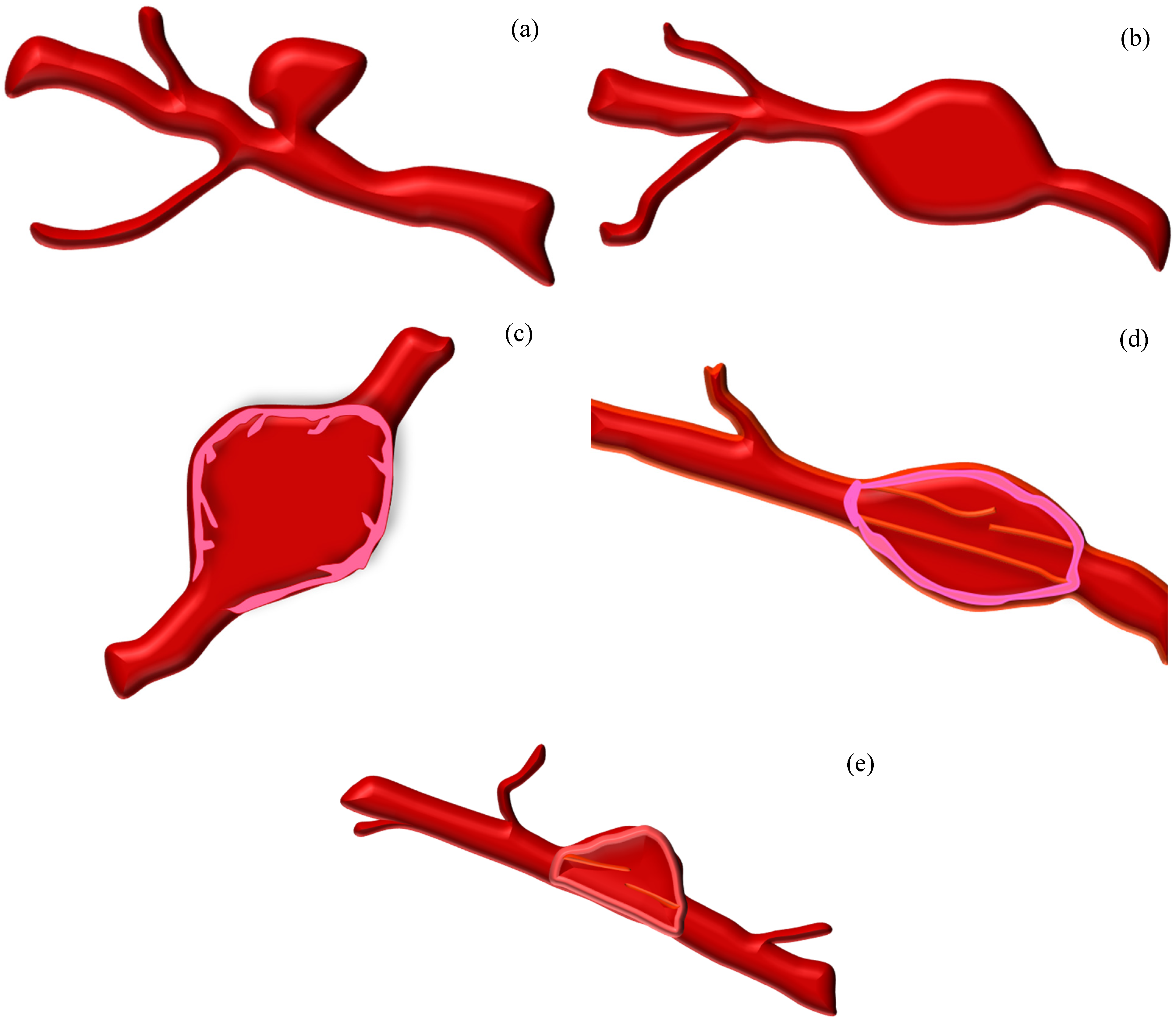 Biomechanics 05 00036 g001