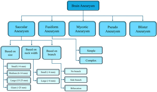 Biomechanics 05 00036 g002