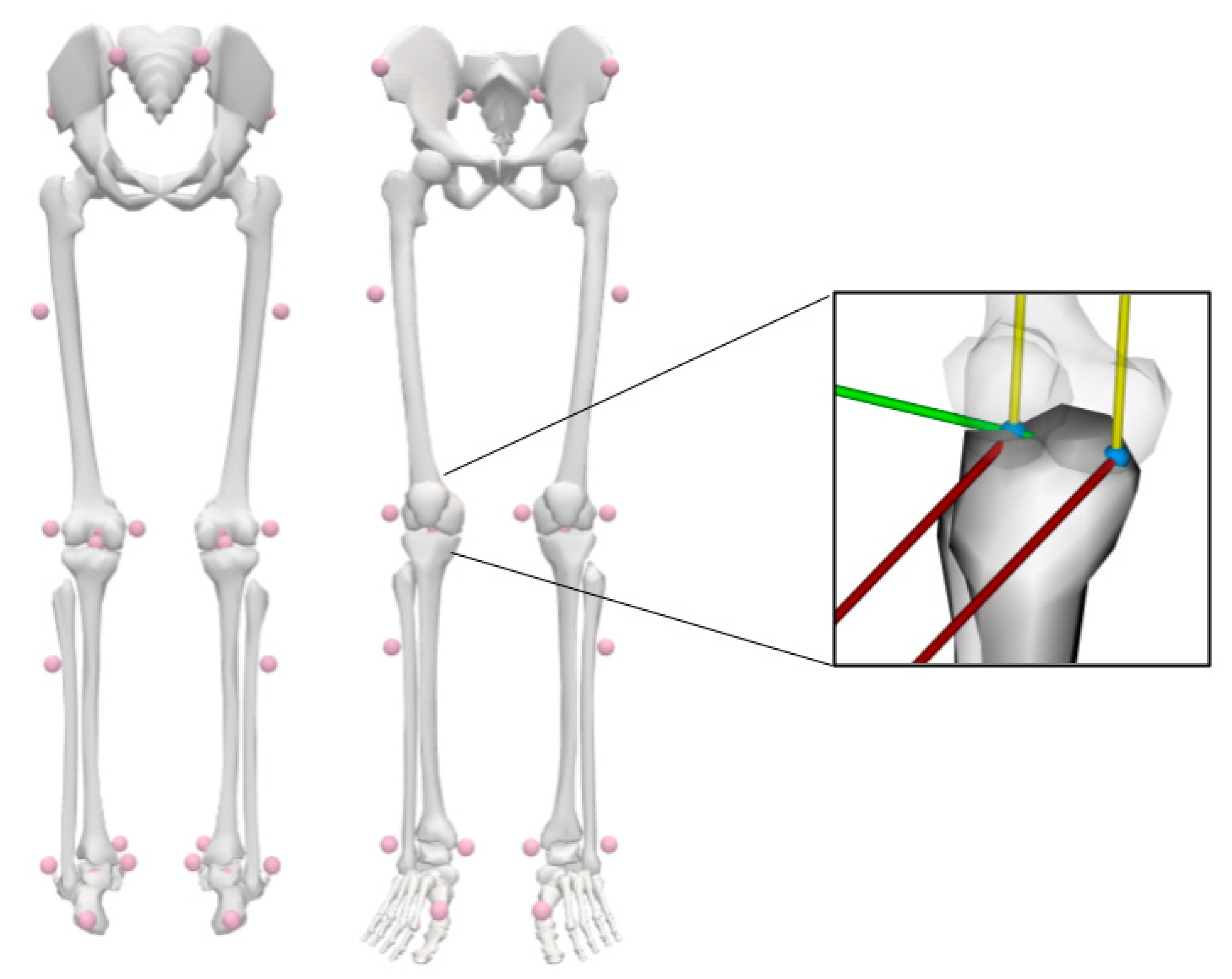 Biomechanics 05 00039 g001